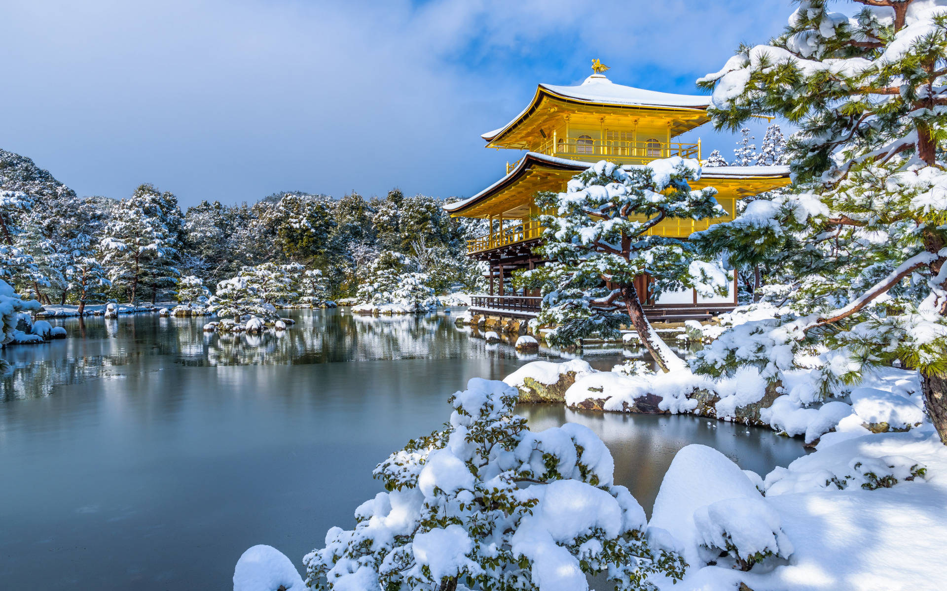 京都 桌布 壁紙 — 金色寺廟亭閣在冬日陽光下閃耀，周圍是白雪覆蓋的樹木和寧靜的倒影池塘。