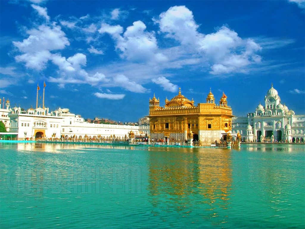 Golden Temple 桌布 壁紙 — 金色寺廟在明亮藍天下閃耀，倒映在被白色建築環繞的綠松石色聖池中。