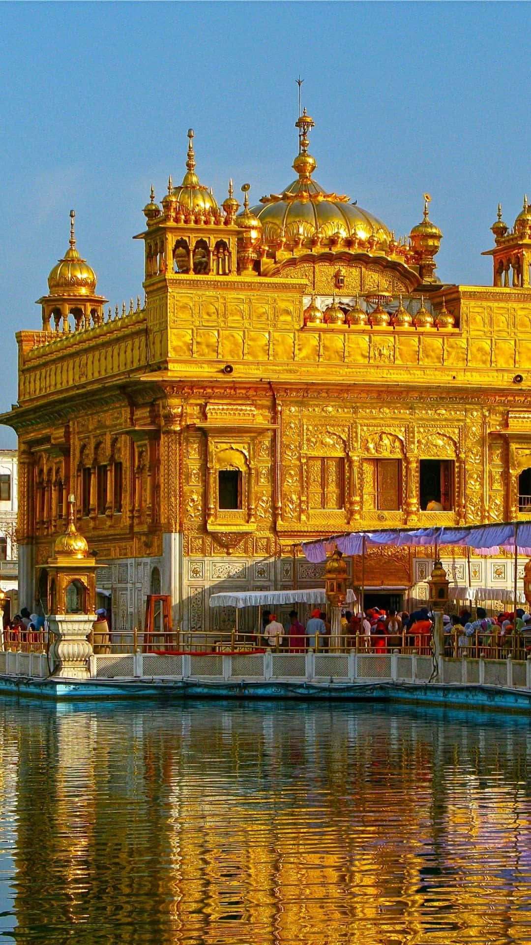 Golden Temple 桌布 壁紙 — 金色寺廟在燦爛陽光下閃耀，精緻細節倒映在平靜的周圍水面上。