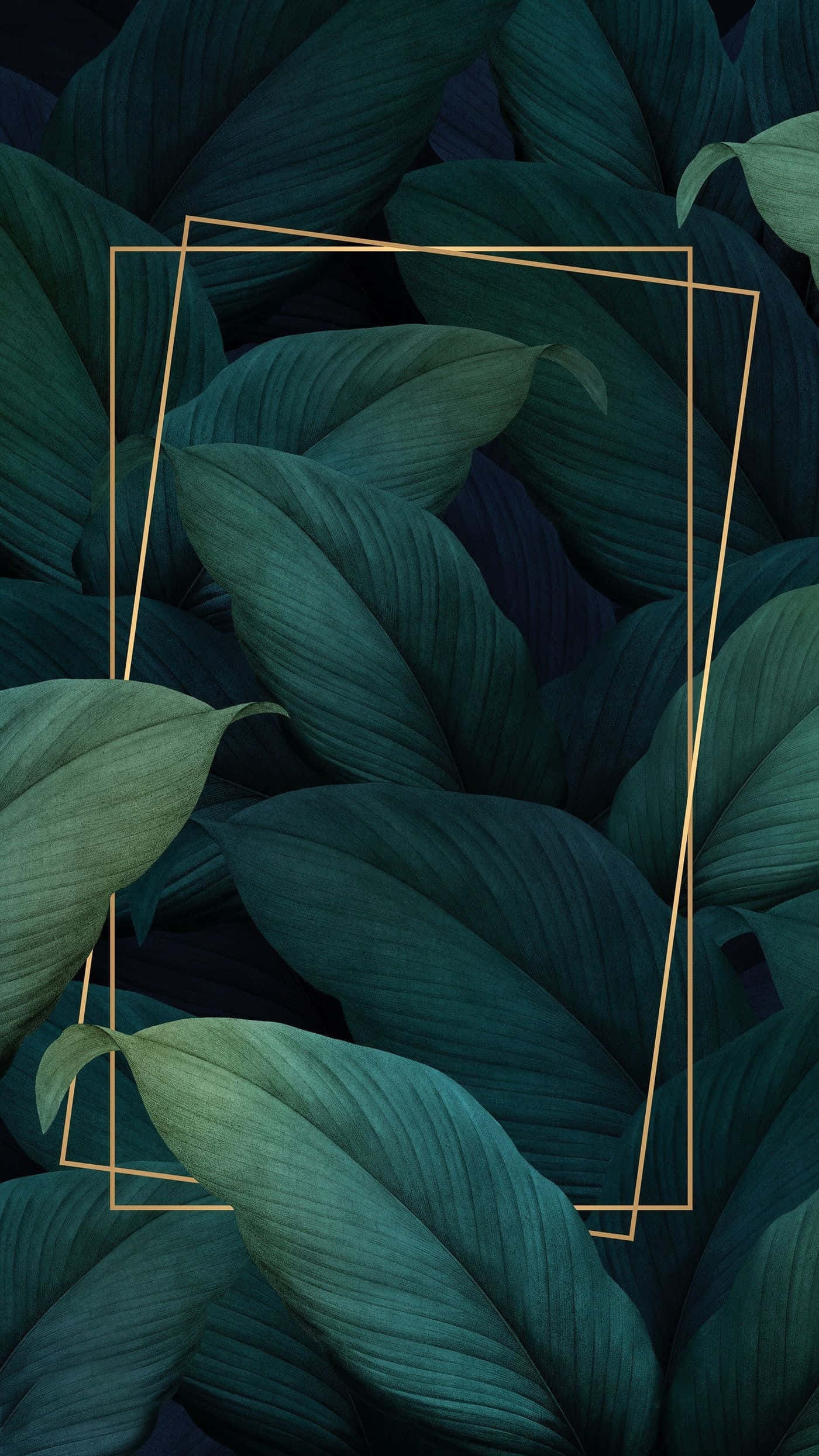 Plant Aesthetic 桌布 壁紙 — 金色幾何框架覆蓋在濃密深綠色熱帶葉片圖案上，質感豐富。