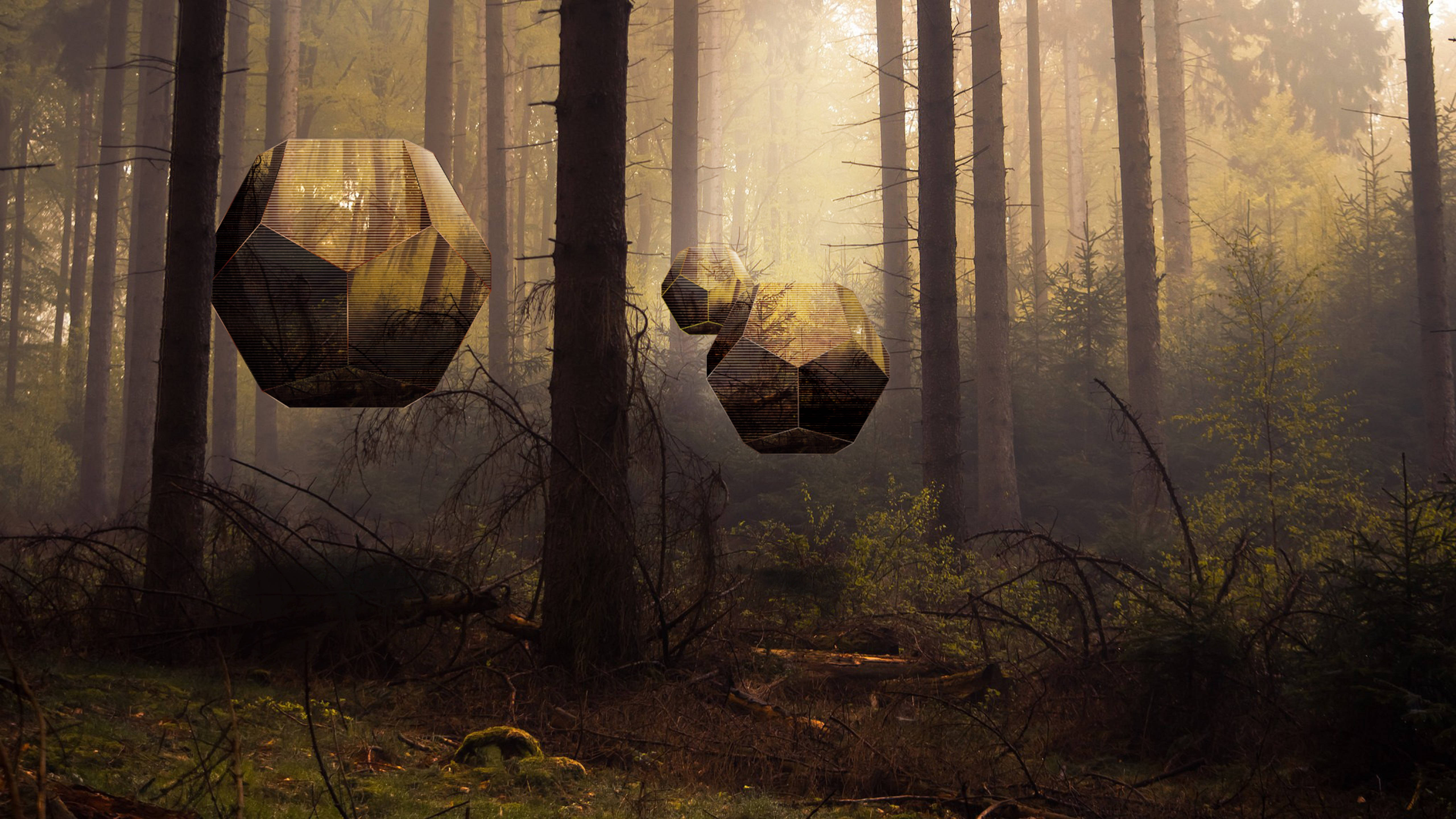 Polyscape 桌布 壁紙 — 金色幾何球體神秘地漂浮在高大的樹木之間，在一個沐浴在溫暖陽光下的霧氣森林中。