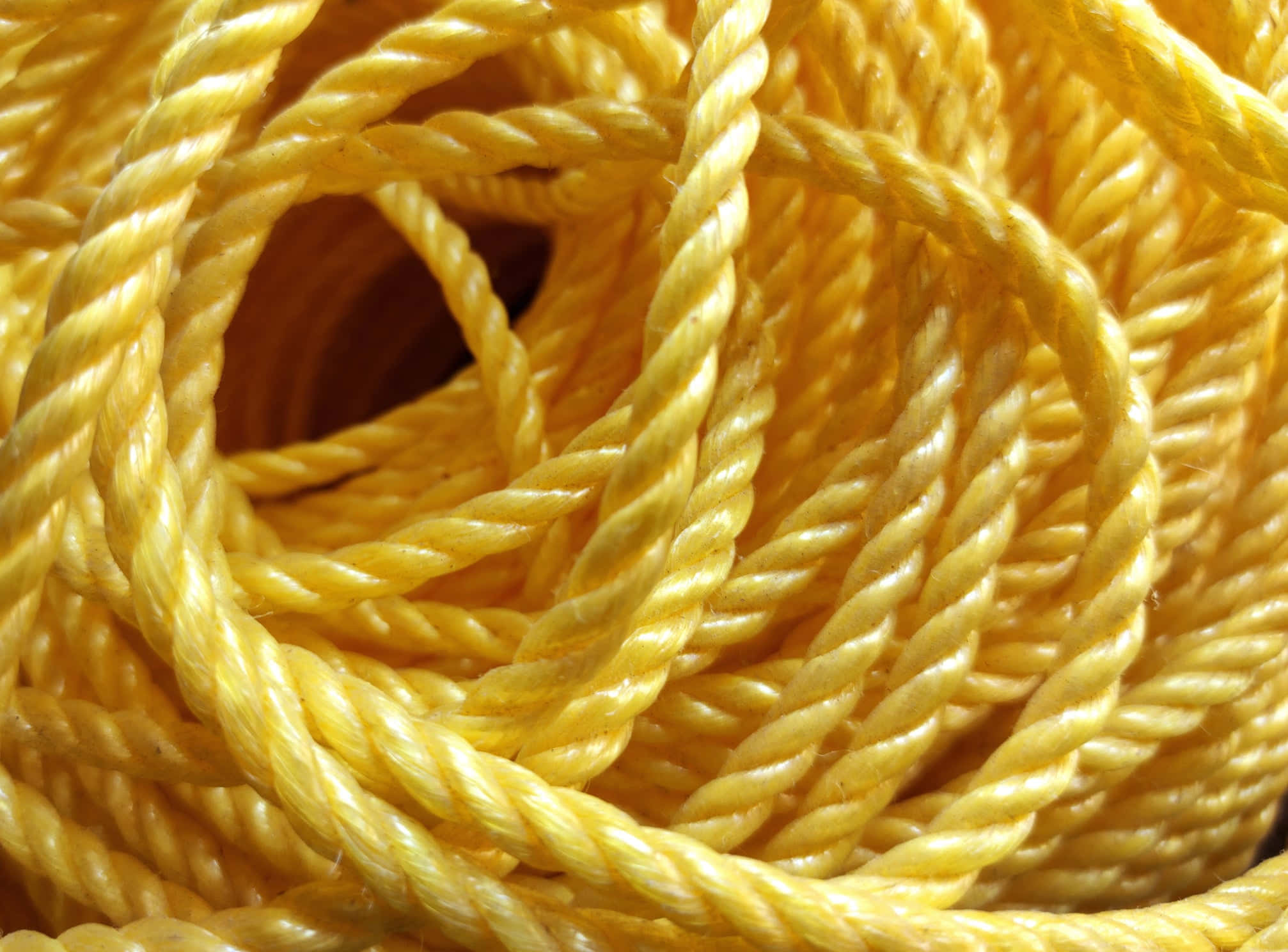 Climbing 桌布 壁紙 — 金色扭繩纏繞成圈的特寫，帶有紋理股線和柔和陰影。