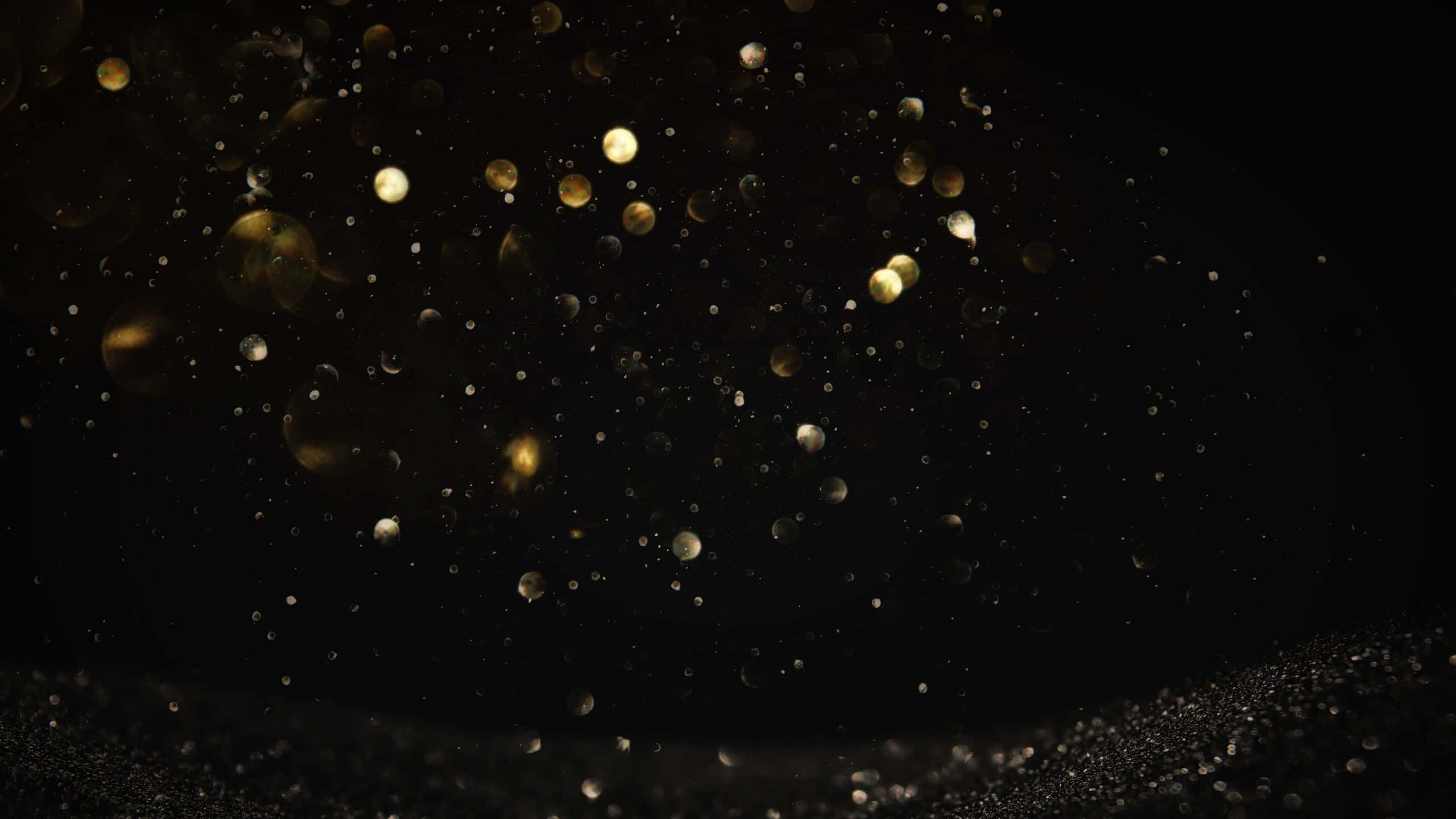 Black And Gold Glitter 桌布 壁紙 — 金色散景燈光在深黑色背景上漂浮，底部有閃爍的粒子。
