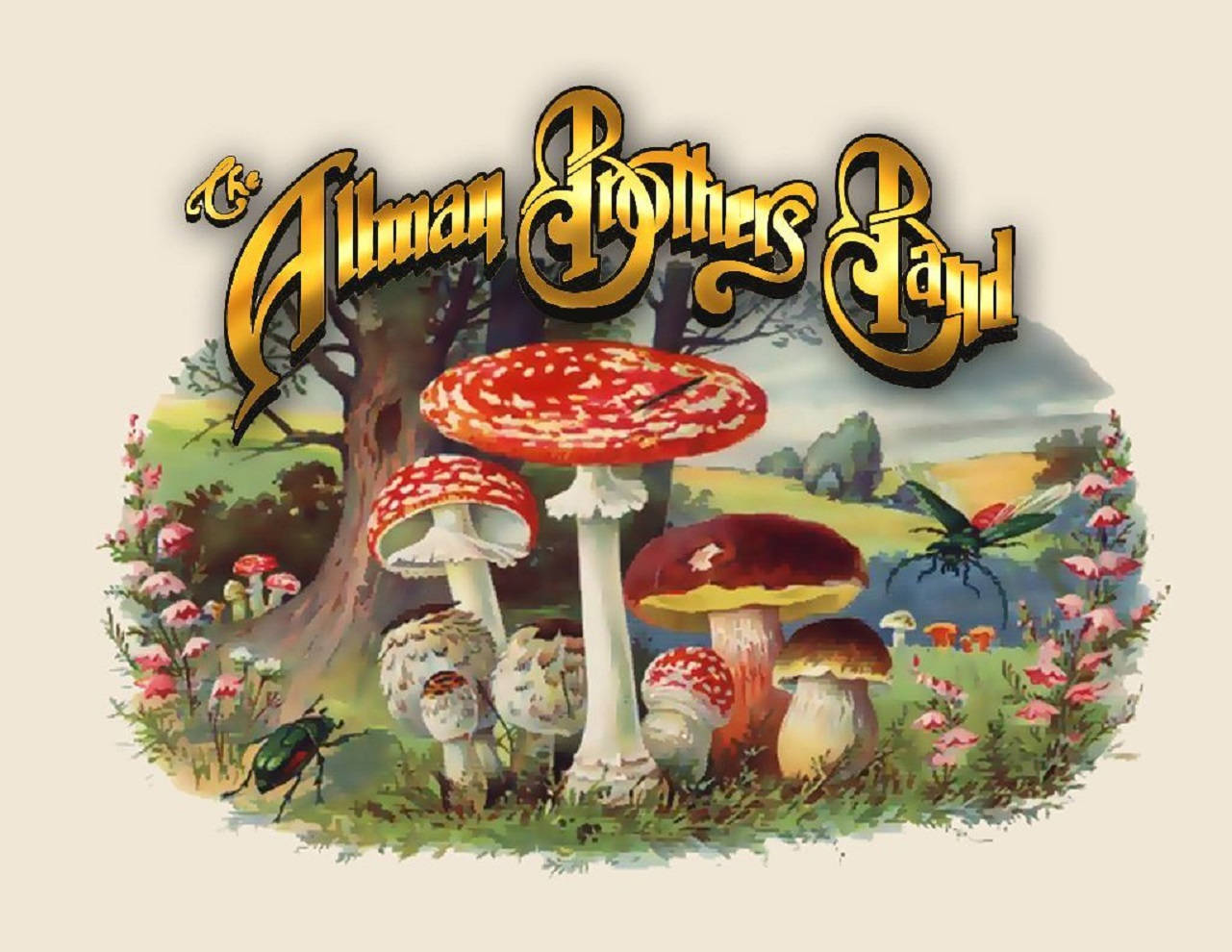 Album Cover 桌布 壁紙 — 金色文字下的奇幻森林場景中巨型蘑菇和昆蟲的復古插圖。