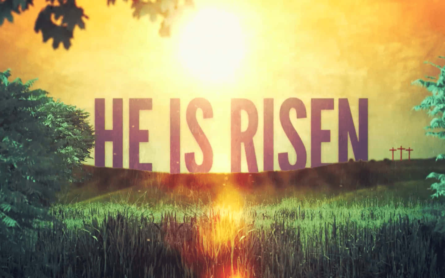 自然 桌布 壁紙 — 金色日出照亮草地上粗體文字 'HE IS RISEN'，遠方有十字架和樹木剪影。