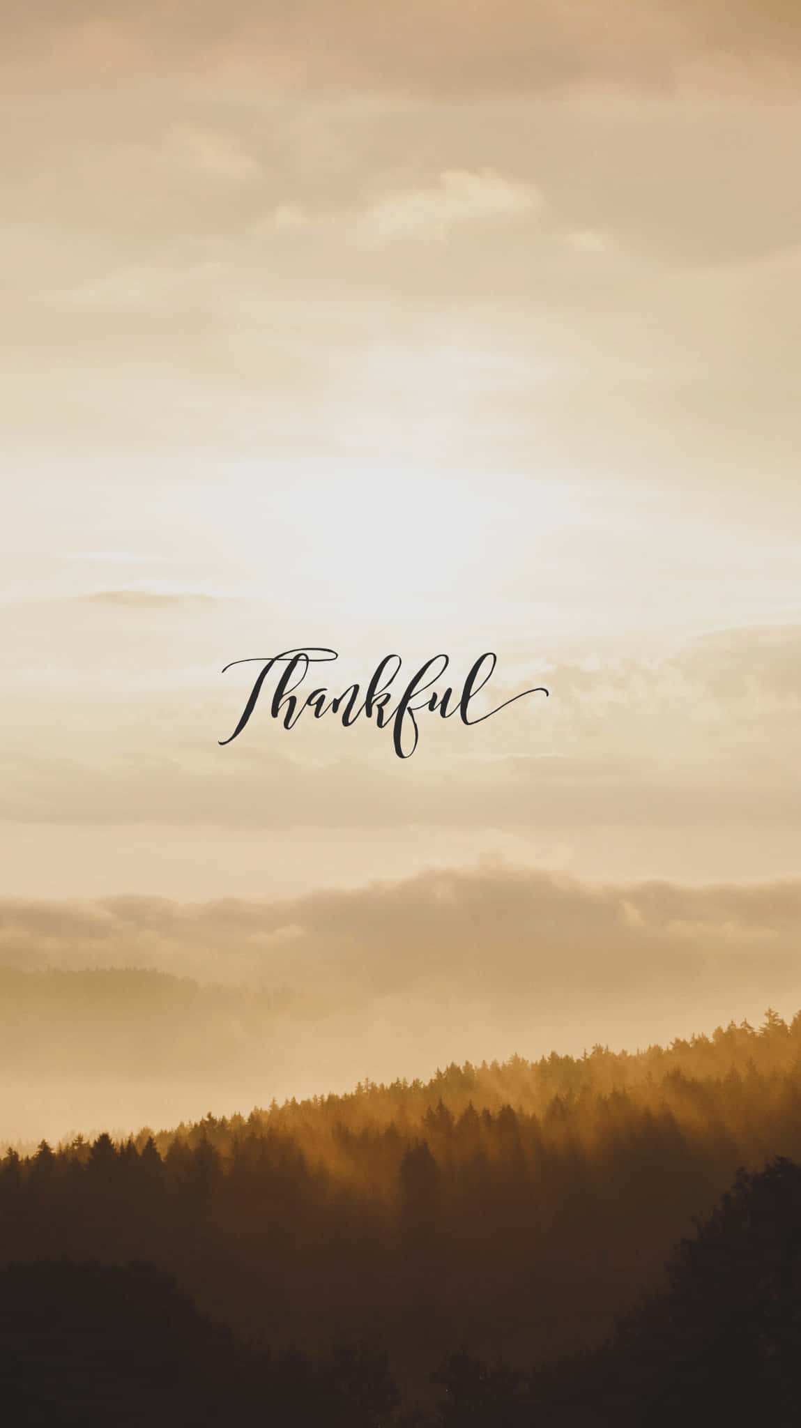 Gratitude 桌布 壁紙 — 金色日出穿過霧氣繚繞的森林山丘，優雅草書單詞 thankful 居中於溫暖色調中。