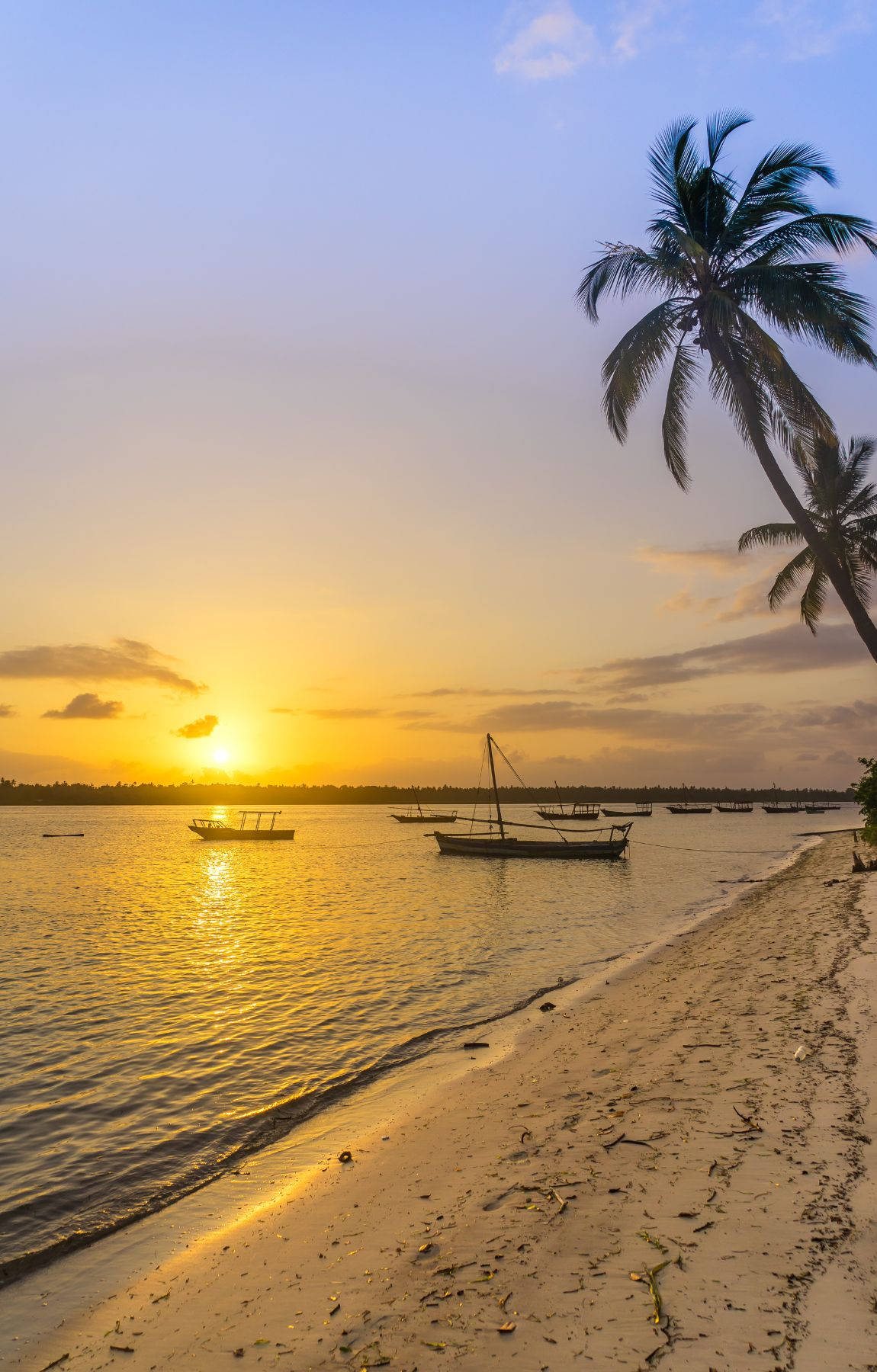 Tropical Beach 桌布 壁紙 — 金色日落映照平靜的熱帶水域，沙灘上呈現船隻和棕櫚樹的剪影。