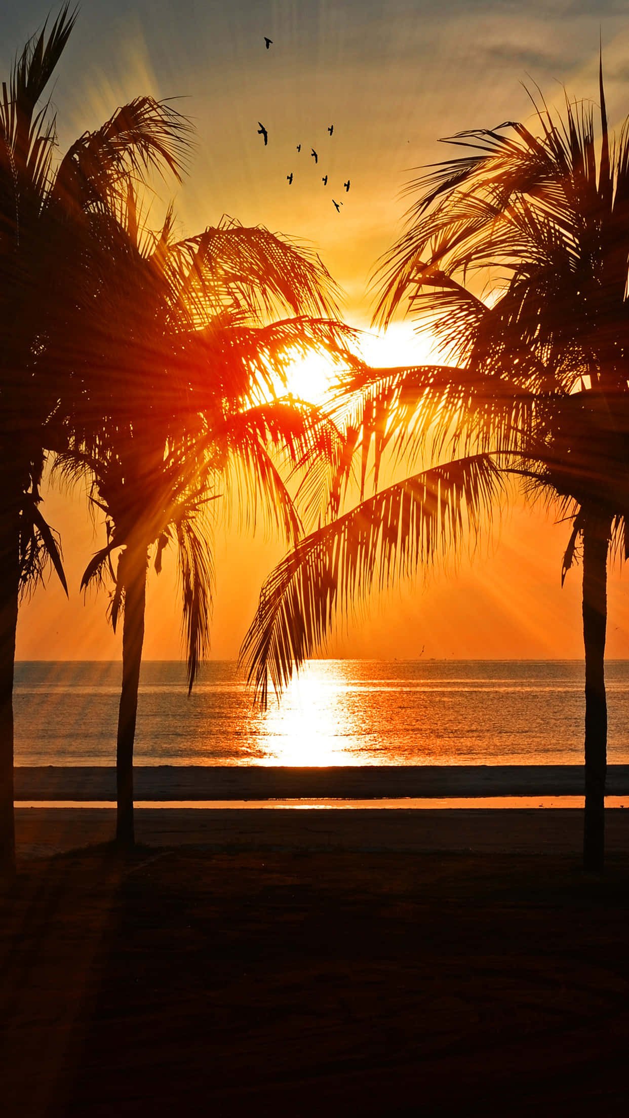Beach Getaway 桌布 壁紙 — 金色日落映襯著棕櫚樹的剪影，在寧靜的海灘上投下長長的影子，鳥兒在頭頂飛翔。