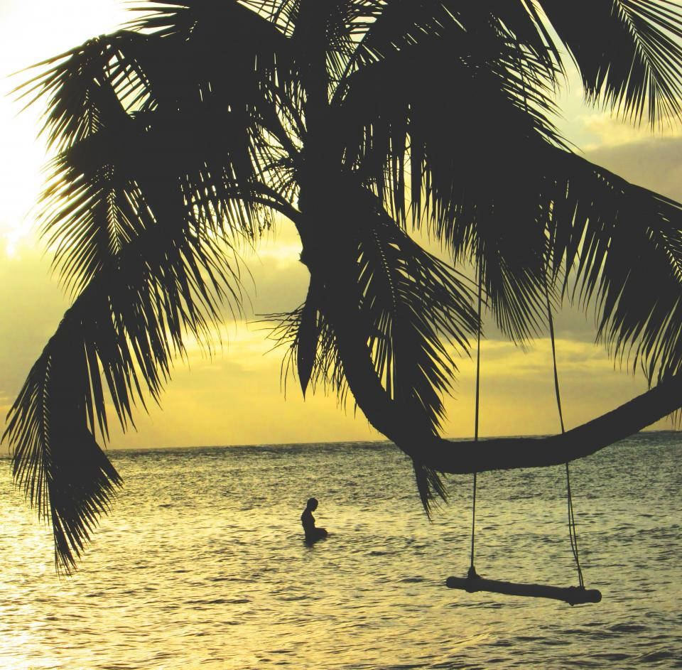 Tropical Beach 桌布 壁紙 — 金色日落時分，一個人在淺海水中，頭頂是一棵大棕櫚樹，樹枝上掛著一個鞦韆的剪影。