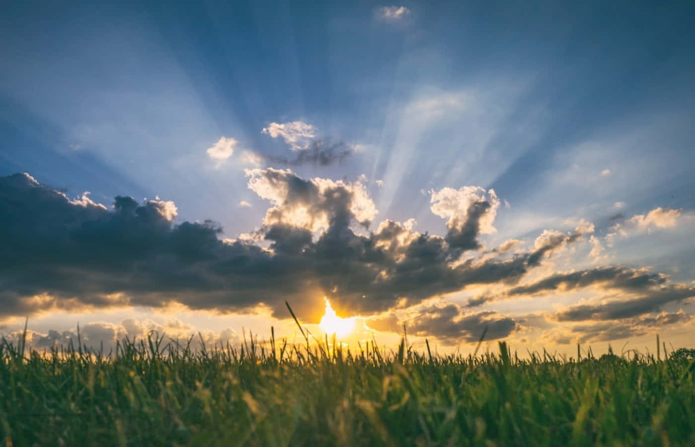 Grass 桌布 壁紙 — 金色日落時分，陽光穿透戲劇性的雲層，灑在充滿活力的綠色草地上。