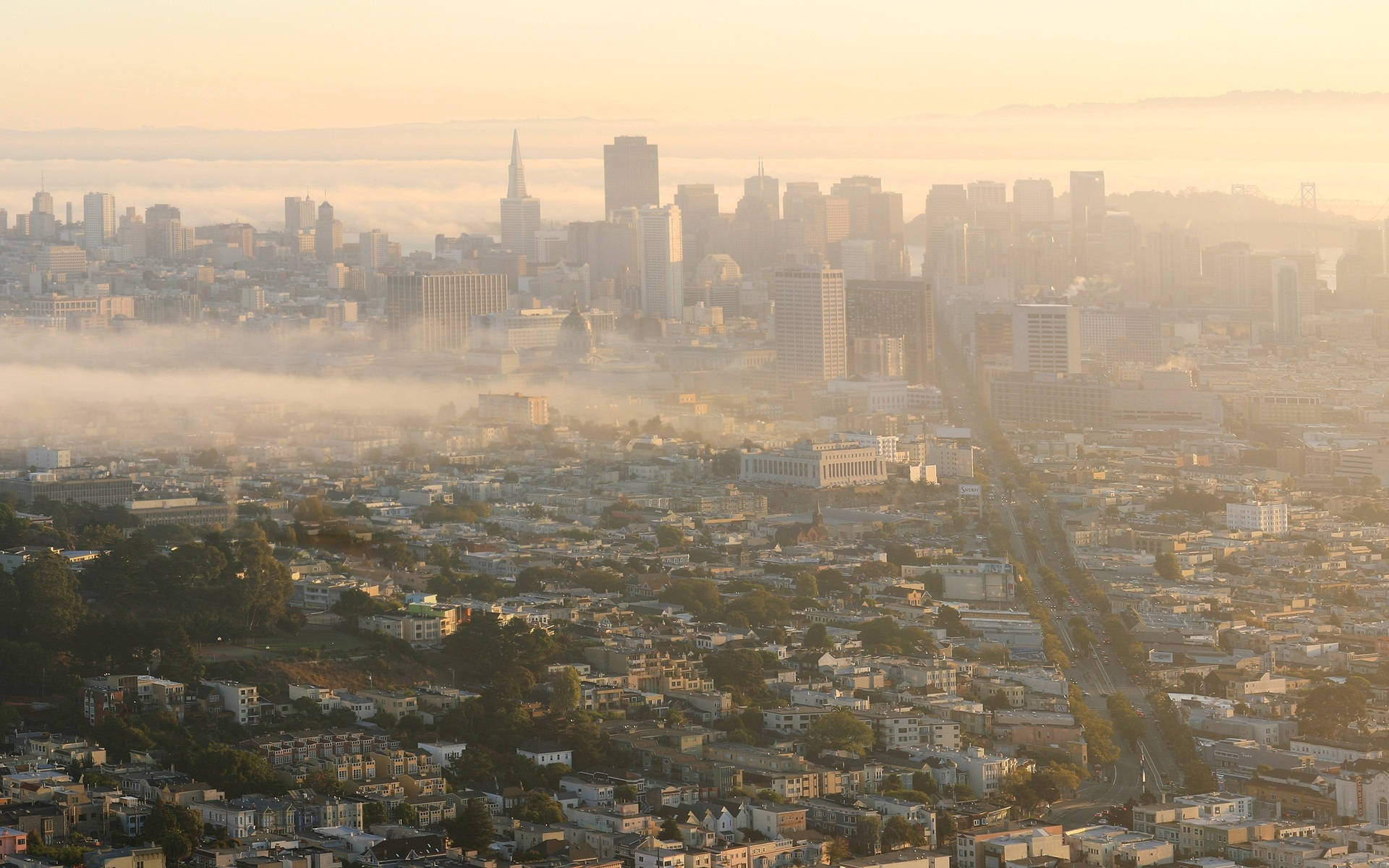 San Francisco 桌布 壁紙 — 金色晨光沐浴著霧氣瀰漫的舊金山天際線，霧氣穿過城市街道和山丘。