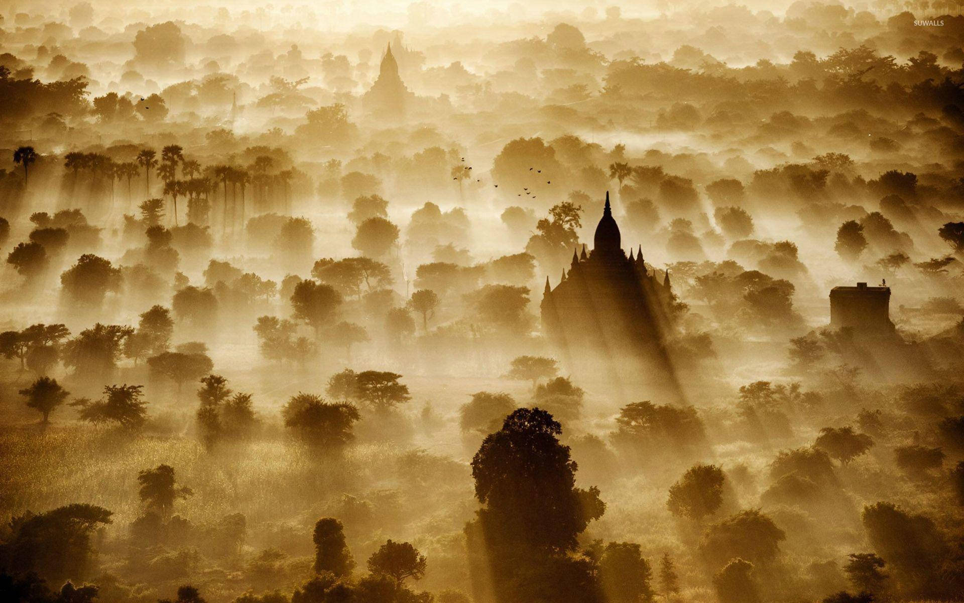 Burma 桌布 壁紙 — 金色晨光穿透迷霧，顯露出隱藏在茂密叢林樹木中的古老寺廟輪廓。