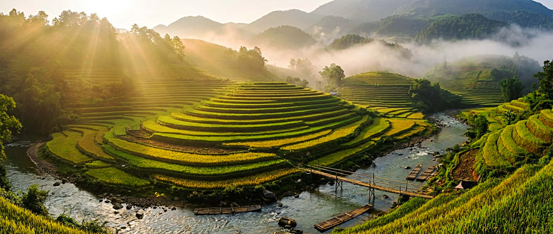 ricefield 壁紙 — 金色晨曦穿過薄霧，照耀在蜿蜒於河流周圍、有木橋的翠綠梯田上。