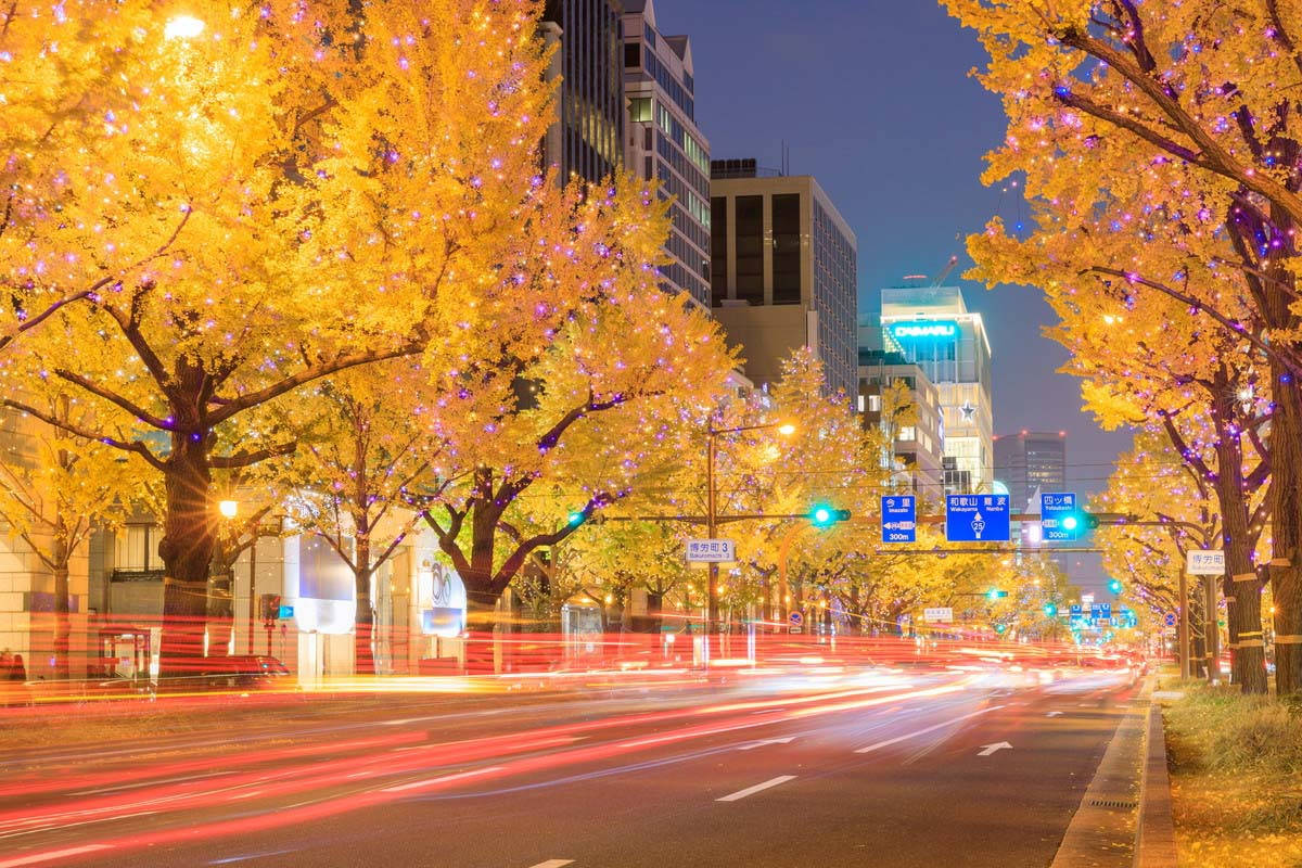 夜晚的城市街道，金色樹木和紫色燈光，紅色車燈的條紋。