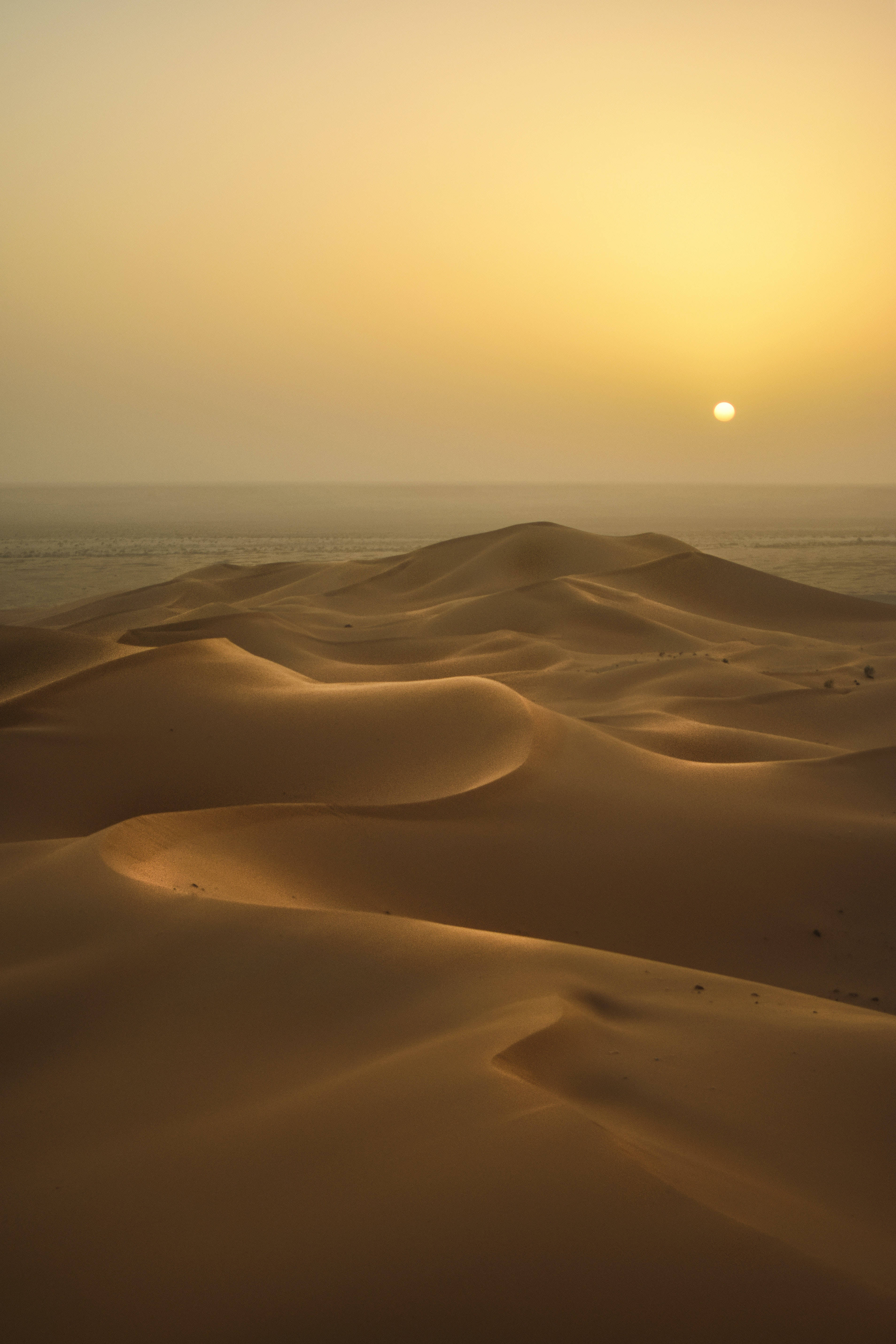Desert Sun 桌布 壁紙 — 金色沙丘在朦朧的日落天空下起伏，遠方的太陽在沙漠地平線上灑下溫暖的光芒。
