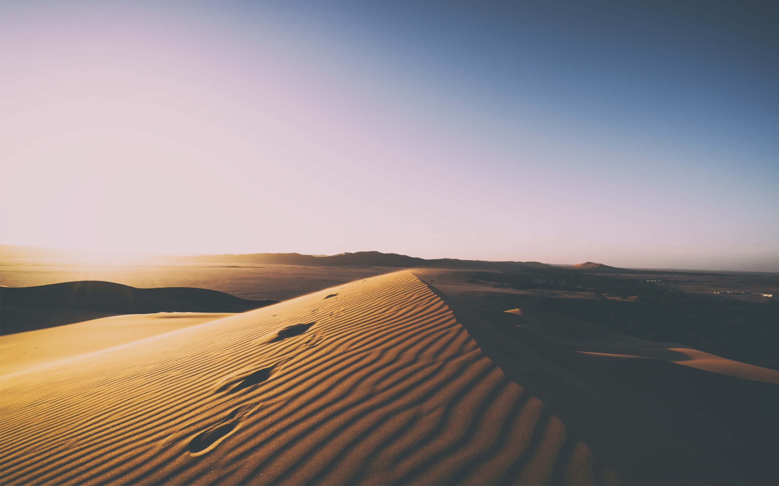 Sand Dunes 桌布 壁紙 — 金色沙丘在柔和的日出光線下起伏，清晰的腳印通向遙遠的地平線。