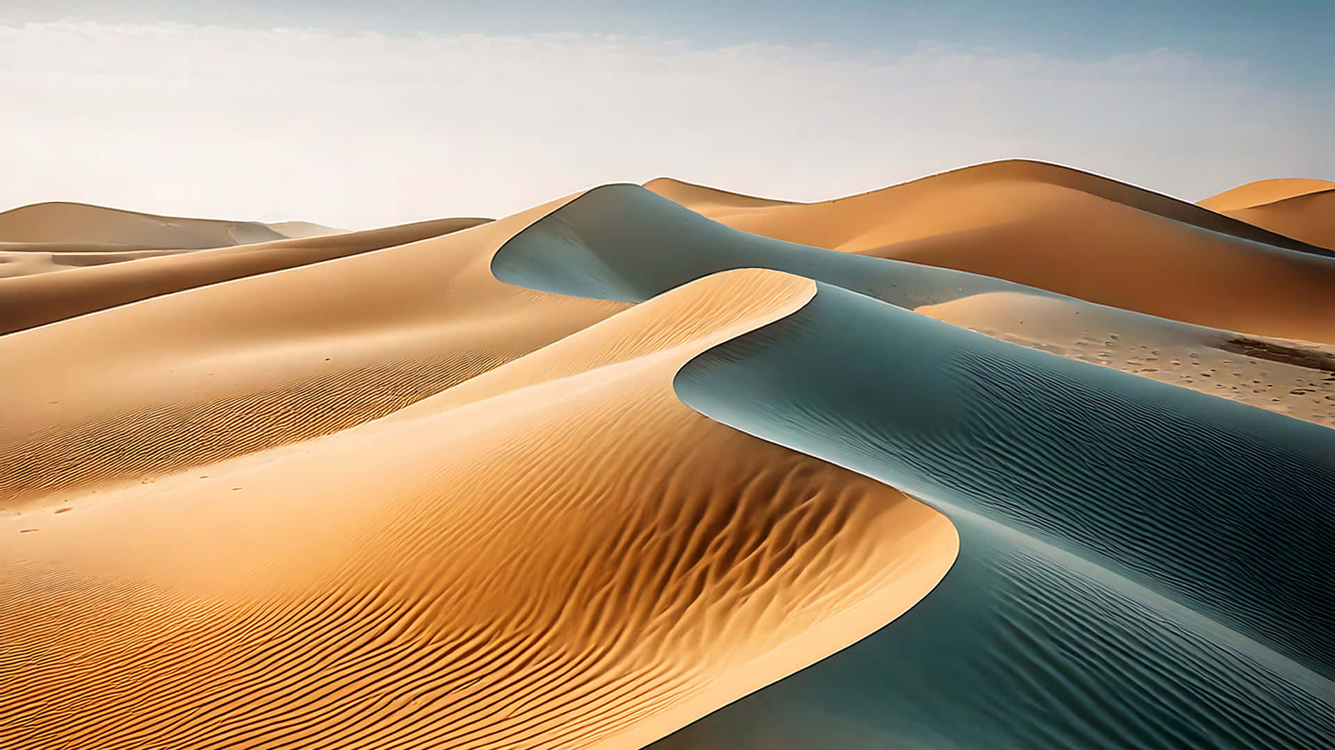 Desert Scenery 壁紙 — 金色沙丘在柔和陽光下泛起漣漪，在沙漠景觀中投下深藍色陰影。