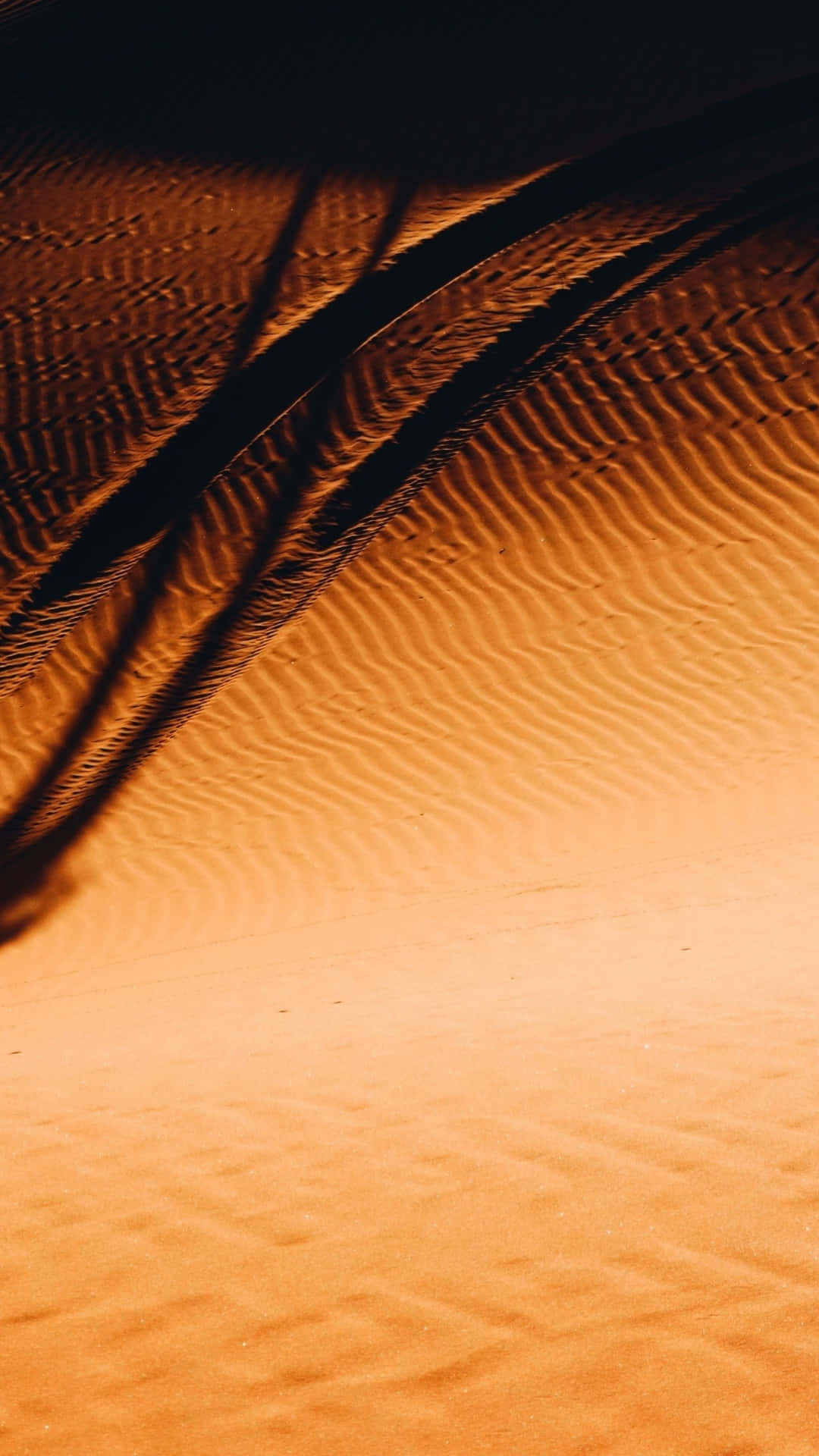 Desert iPhone 桌布 壁紙 — 金色沙丘在溫暖光線下泛起漣漪，長長的暗影在其紋理表面延伸。
