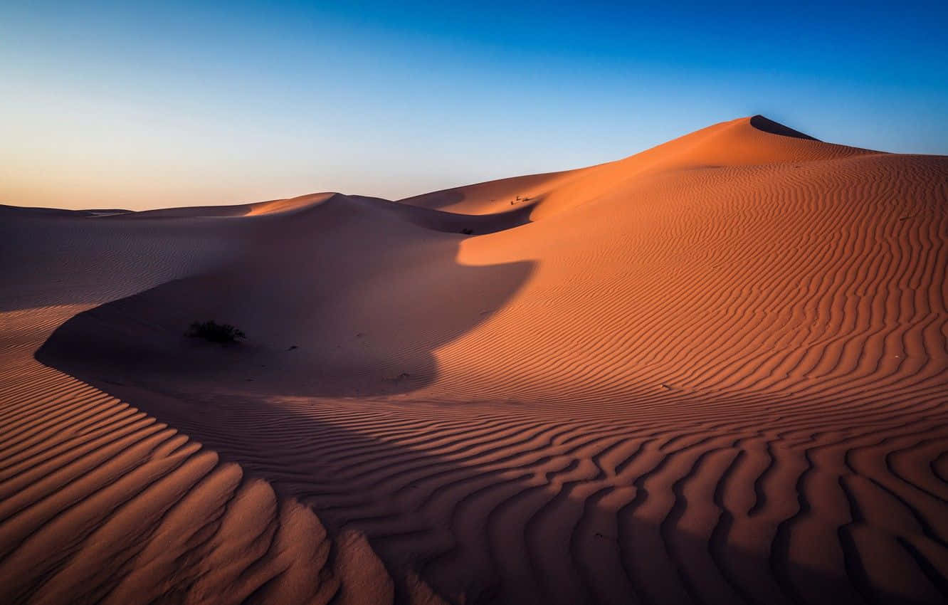 Uae 桌布 壁紙 — 金色沙丘在溫暖的日落光線下起伏，在廣闊的沙漠景觀中投下長長的陰影。
