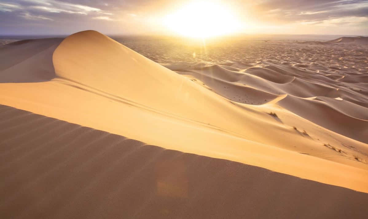 Sand Dunes 桌布 壁紙 — 金色沙丘在溫暖的日落天空下無盡延伸，柔和的光線在沙漠地形上投下長長的陰影。