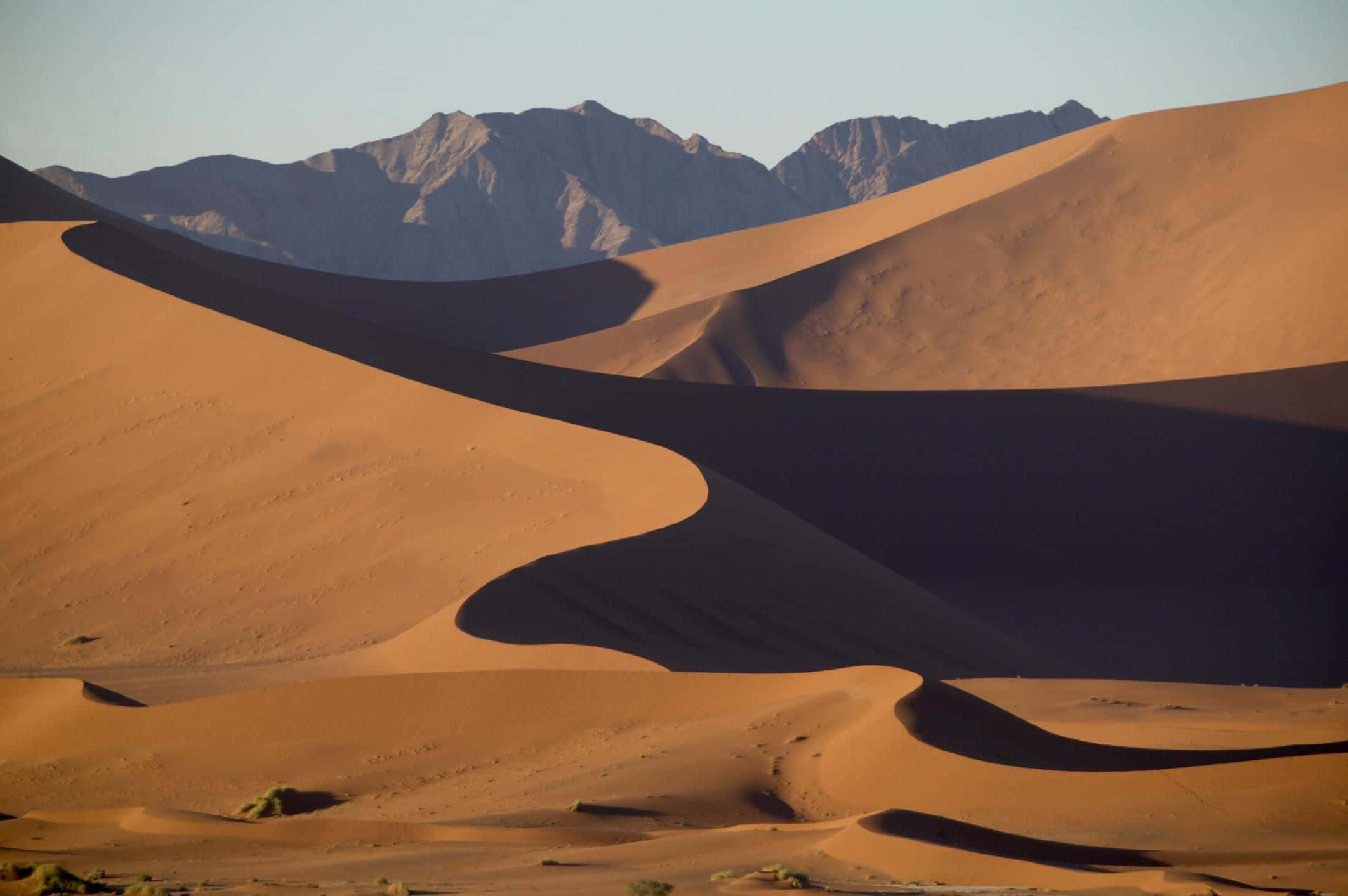 Dune 桌布 壁紙 — 金色沙丘在溫暖陽光下優美地彎曲，背景是崎嶇的山脈。