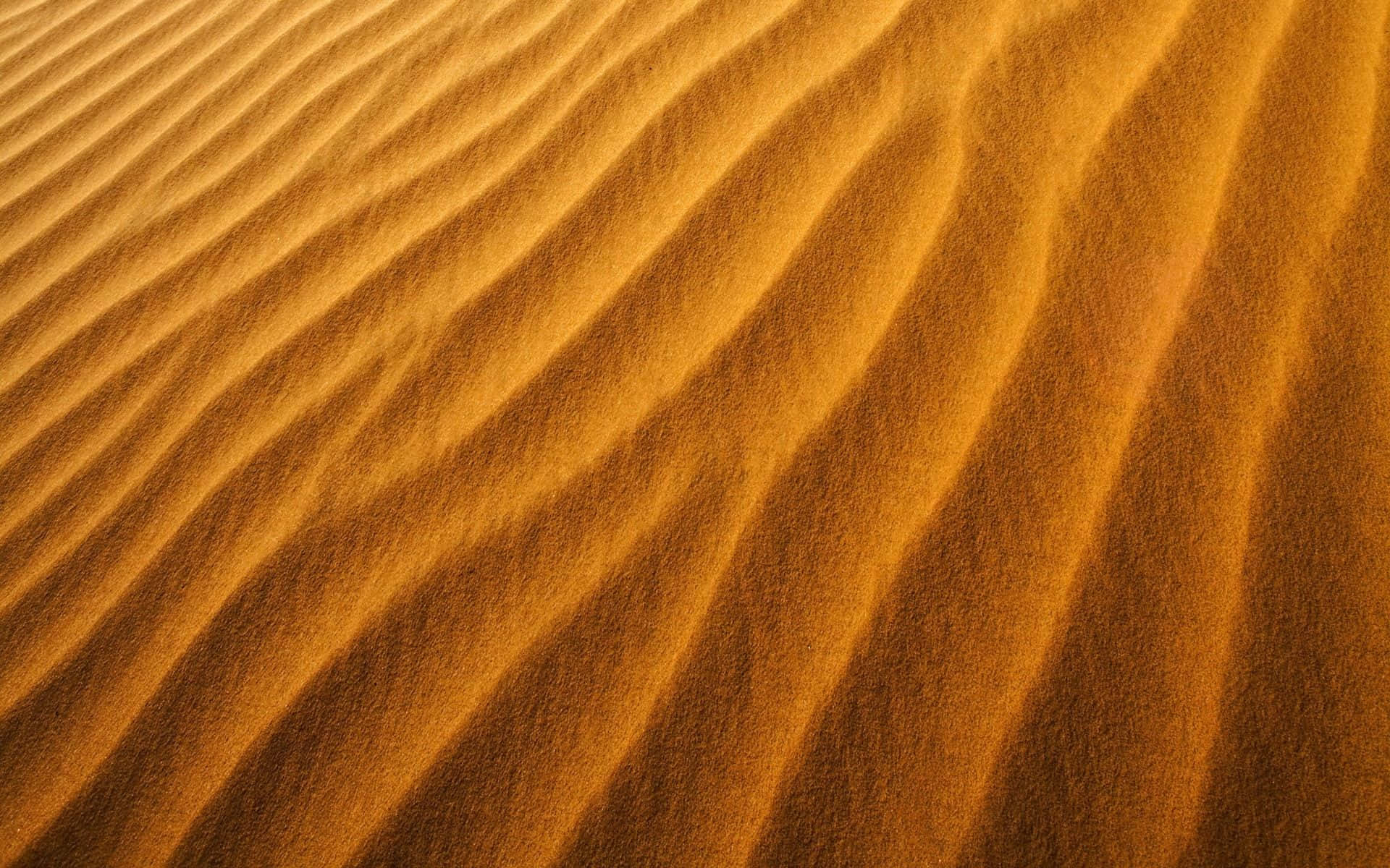 sand 桌布 壁紙 — 金色沙丘在溫暖陽光下泛起漣漪，形成柔和曲線與陰影的催眠圖案。