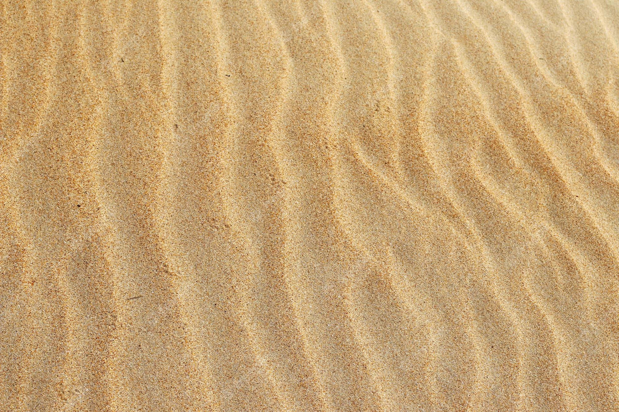 Beach Scene 桌布 壁紙 — 金色沙丘的特寫，在明亮日光下帶有柔和波浪紋理。