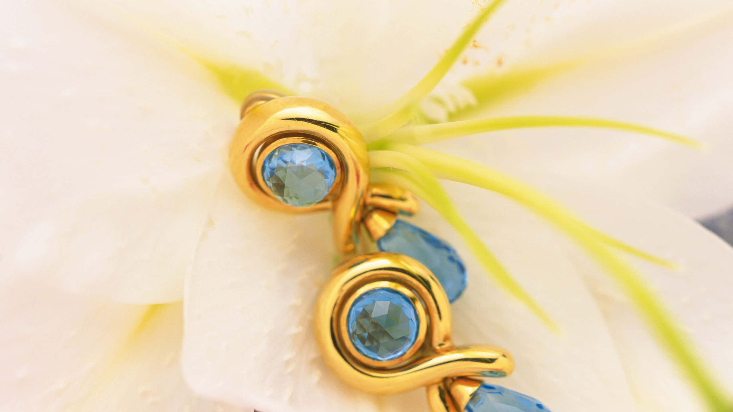 Earrings 桌布 壁紙 — 金色珠寶搭配藍色寶石，精緻地放在一朵帶有黃色雄蕊的白花上。