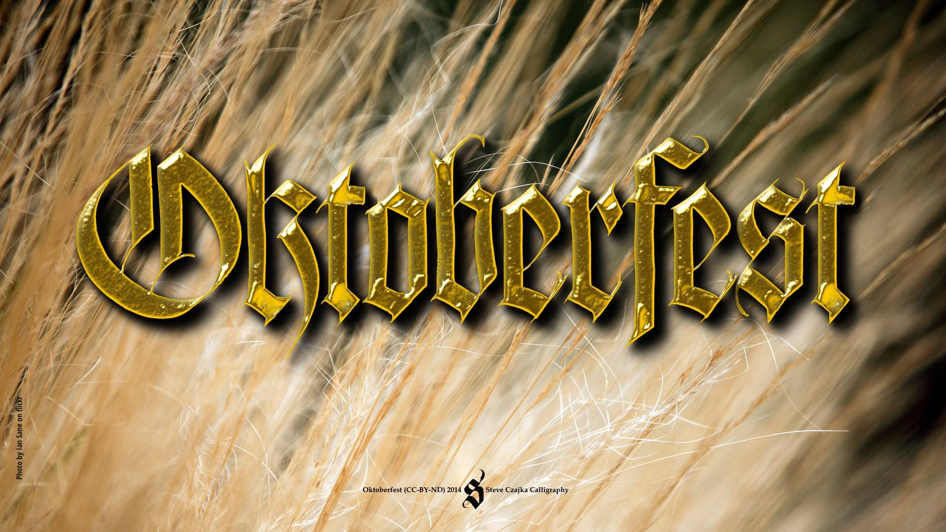 慕尼黑啤酒節 桌布 壁紙 — 金色的 Oktoberfest 字樣在溫暖秋色中模糊的麥穗背景下閃耀。