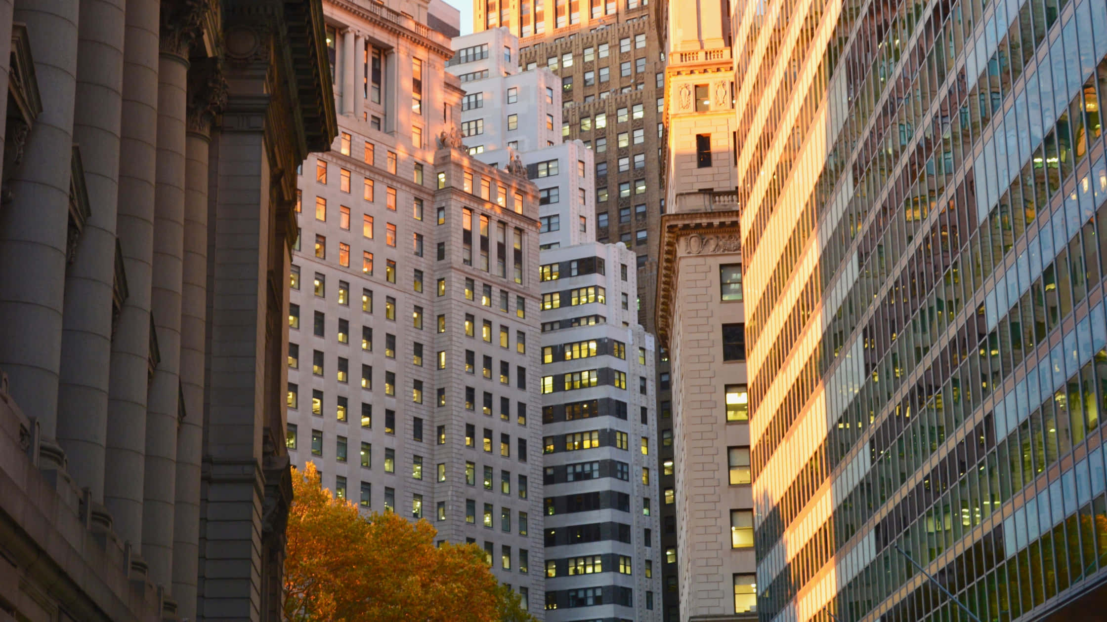 Wall Street 桌布 壁紙 — 金色的夕陽光芒溫暖地照耀著高聳的城市摩天大樓，秋天的樹葉從城市峽谷中探出頭來。