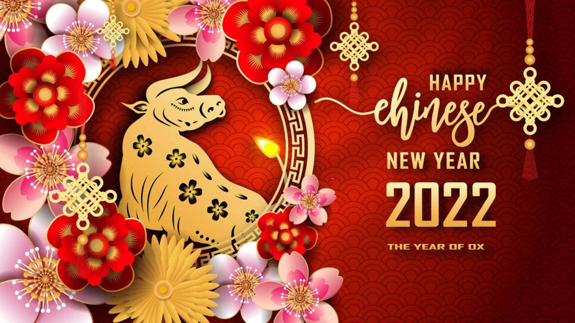 Chinese New Year 2022 桌布 壁紙 — 金色的牛被紅色和粉紅色的紙花包圍，在帶有紋理的紅色背景上，帶有2022年農曆新年文字。