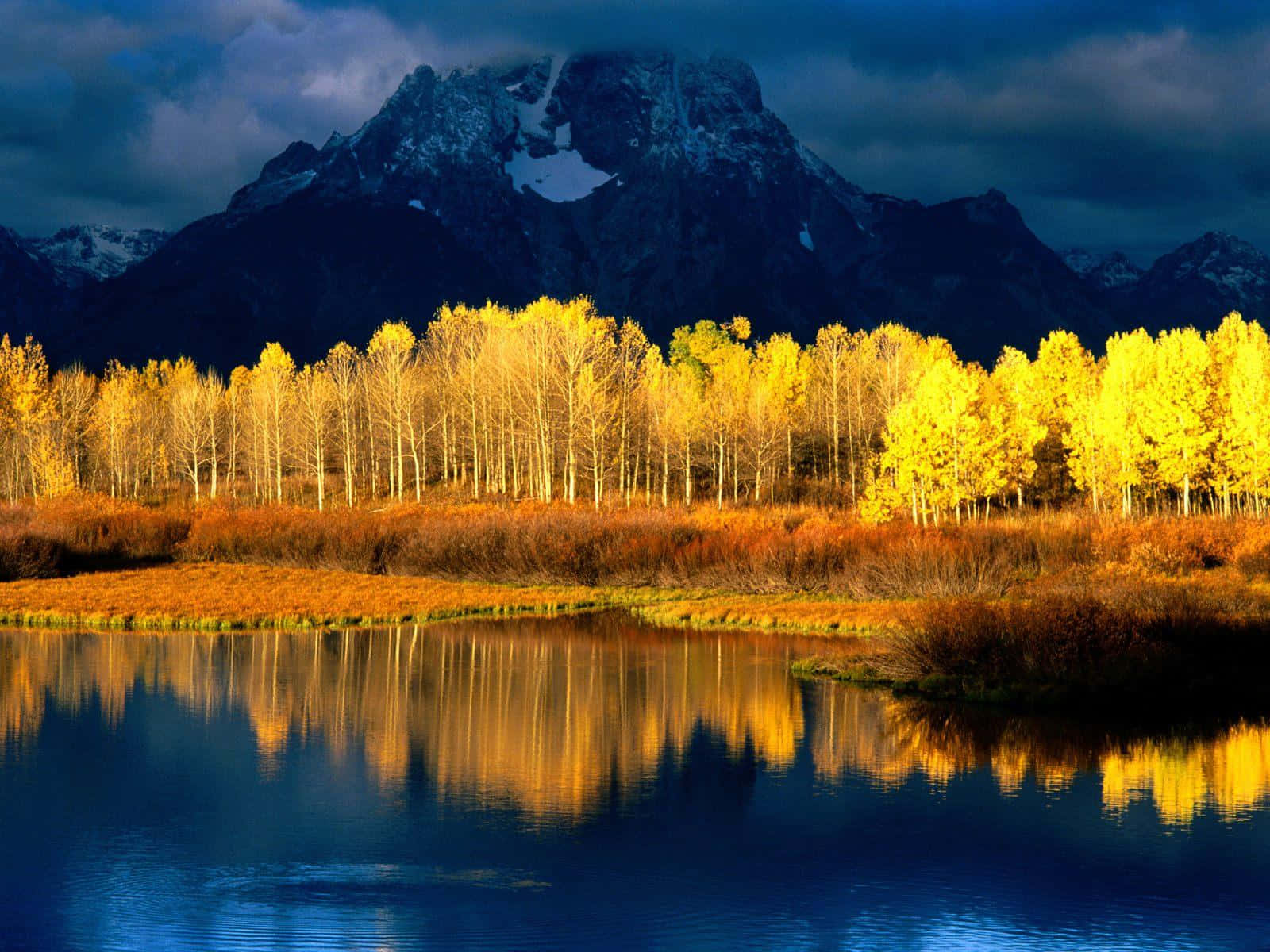 Aspen Colorado 桌布 壁紙 — 金色的白楊樹在平靜的藍色水中倒映，天空戲劇性的多雲，有積雪覆蓋的山峰。