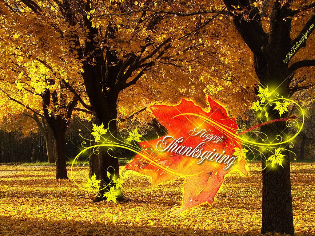 Happy Thanksgiving 桌布 壁紙 — 金色的秋樹溫暖地發光，一個發光的紅色楓葉帶有 'Happy Thanksgiving' 在前景中旋轉。