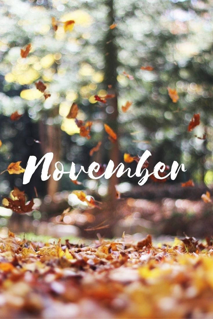 November iPhone 桌布 壁紙 — 金色的秋葉在陽光明媚的森林空氣中旋轉，而十一月這個詞優雅地漂浮在落葉地毯之上。