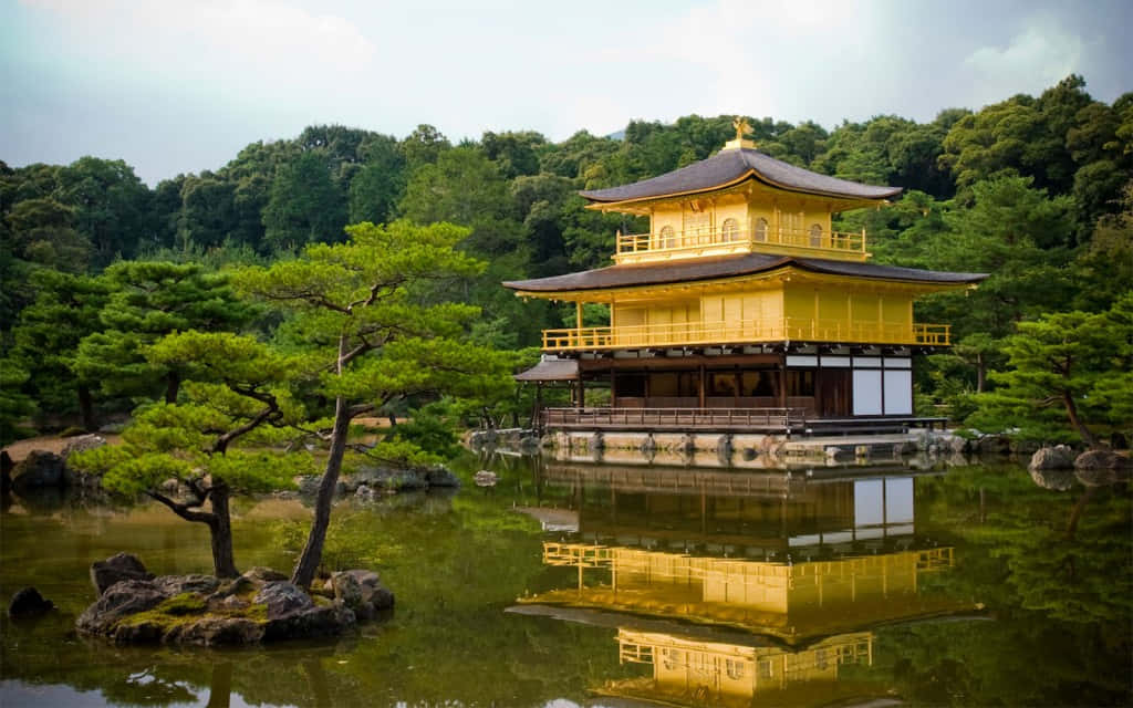 日本 桌布 壁紙 — 金色的金閣寺在柔和日光下，完美倒映在平靜的池塘中，四周環繞著茂密的綠樹。