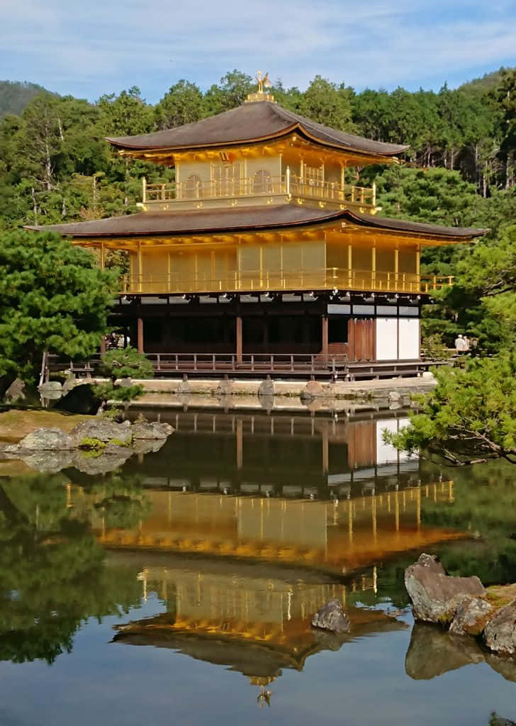 日本 桌布 壁紙 — 金色的金閣寺完美地倒映在平靜的池塘中，四周環繞著茂密的綠樹，頭頂是清澈的藍天。