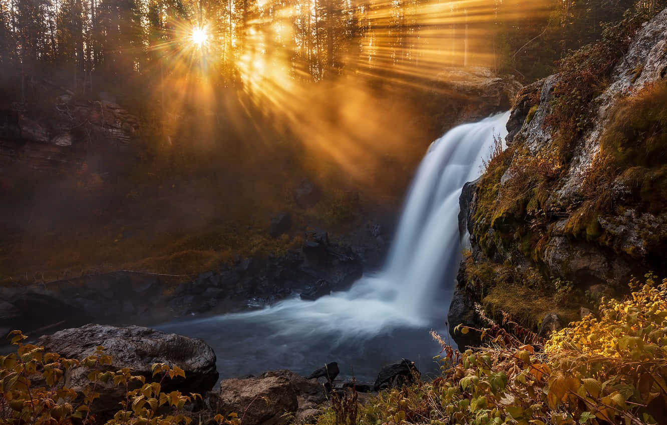 Yellowstone 桌布 壁紙 — 金色的陽光穿透森林樹冠，照亮了秋天瀑布從長滿苔蘚的岩石上傾瀉而下的迷霧。