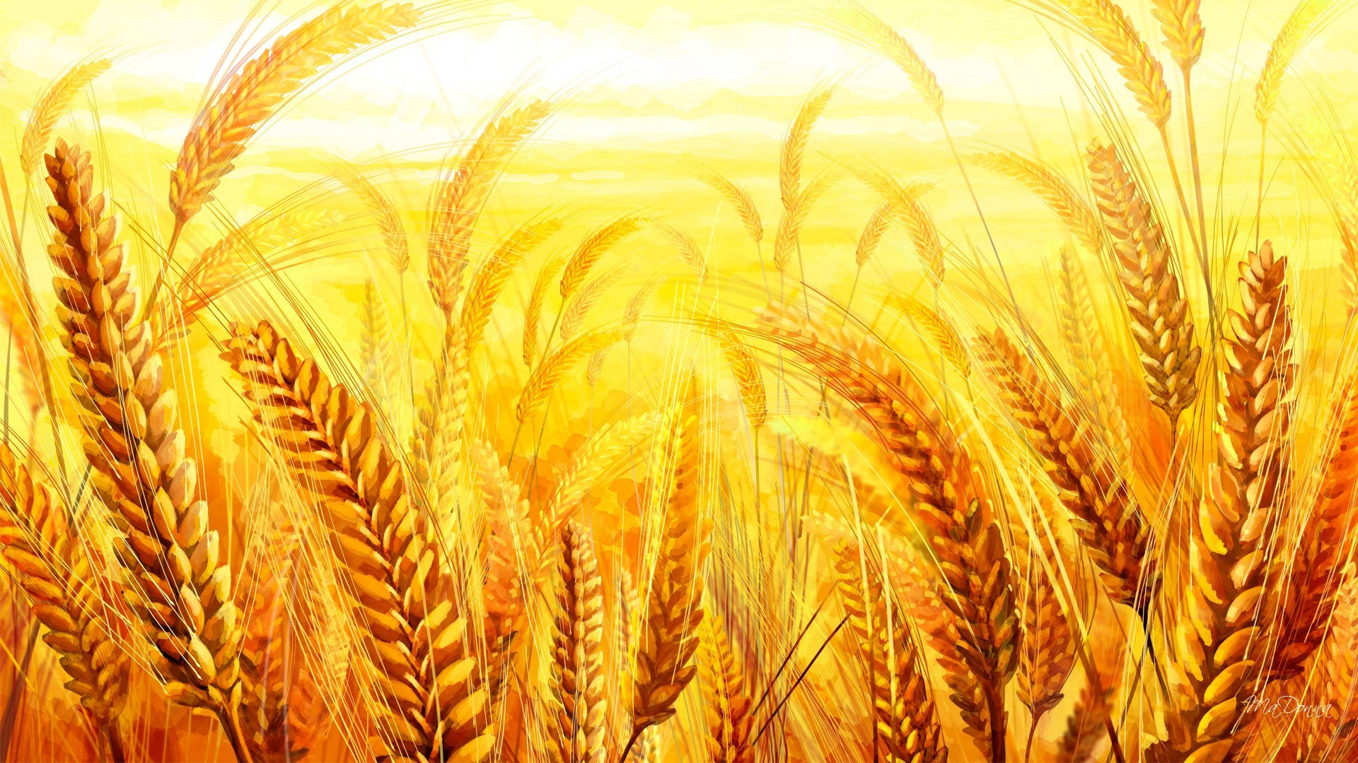 Wheat Field 桌布 壁紙 — 金色的麥穗在溫暖的黃色天空下，在陽光照耀的田野中輕輕搖曳。