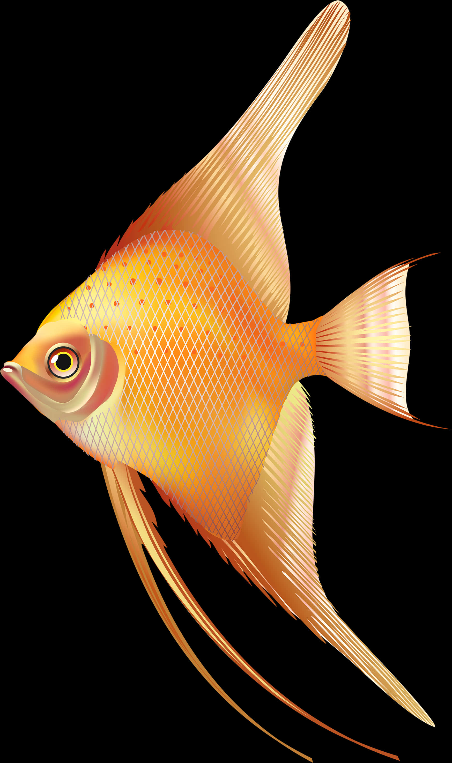 金色神仙魚插圖 壁紙