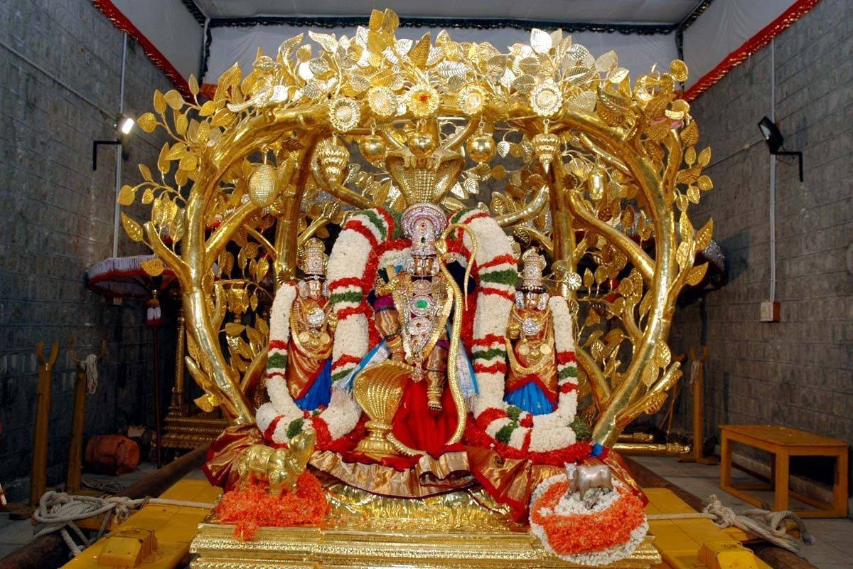 Hindu Temple 桌布 壁紙 — 金色神像飾以紅、白、綠色花環，坐在寺廟環境中華麗的金色樹冠下。