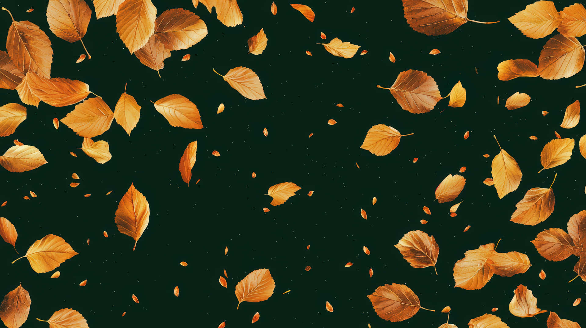 Golden Autumn Leaves Floating Against a Dark Background in Midair 壁紙 — 金色秋葉在深森林綠色背景上優雅飄落，帶有細微斑點。