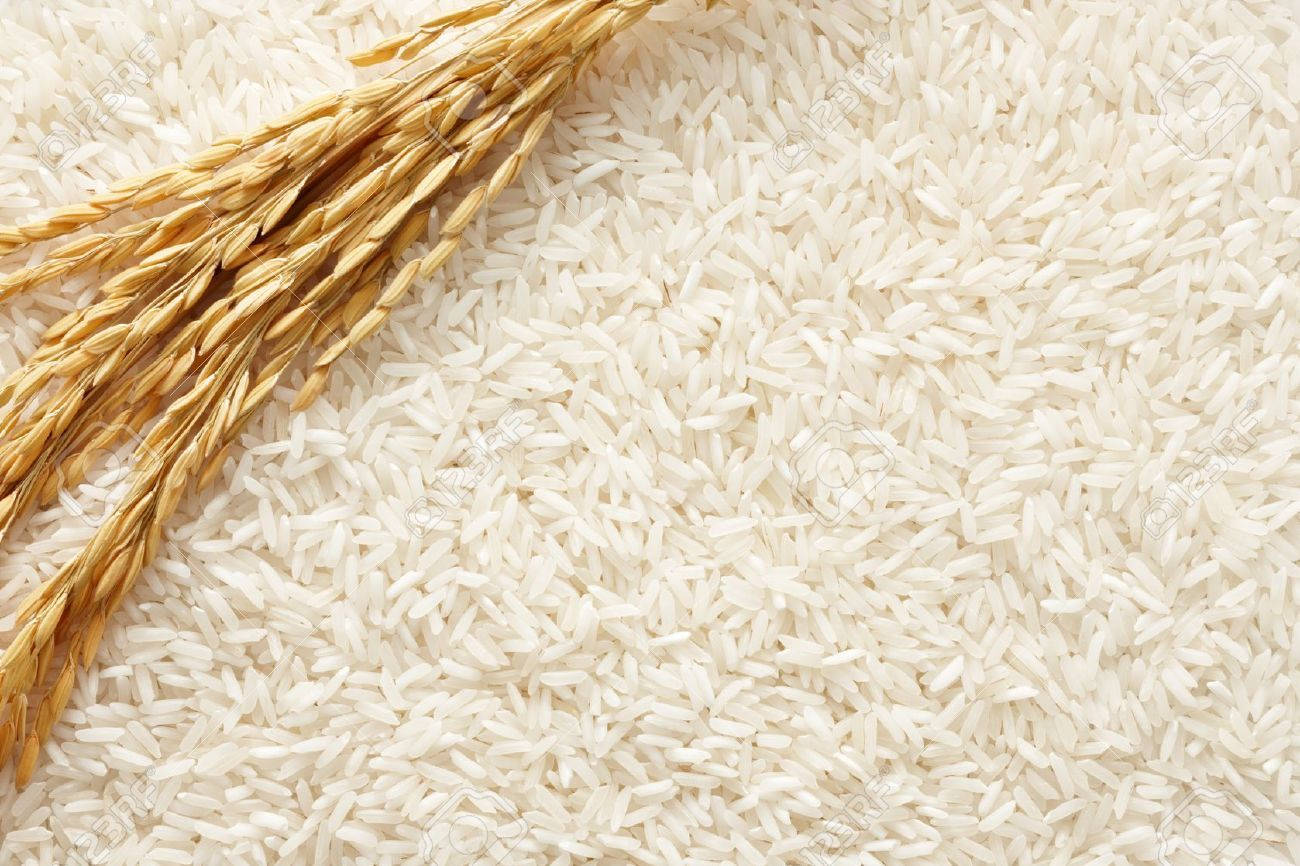 白米粒上的金色稻穗。 — 食物動圖 壁紙