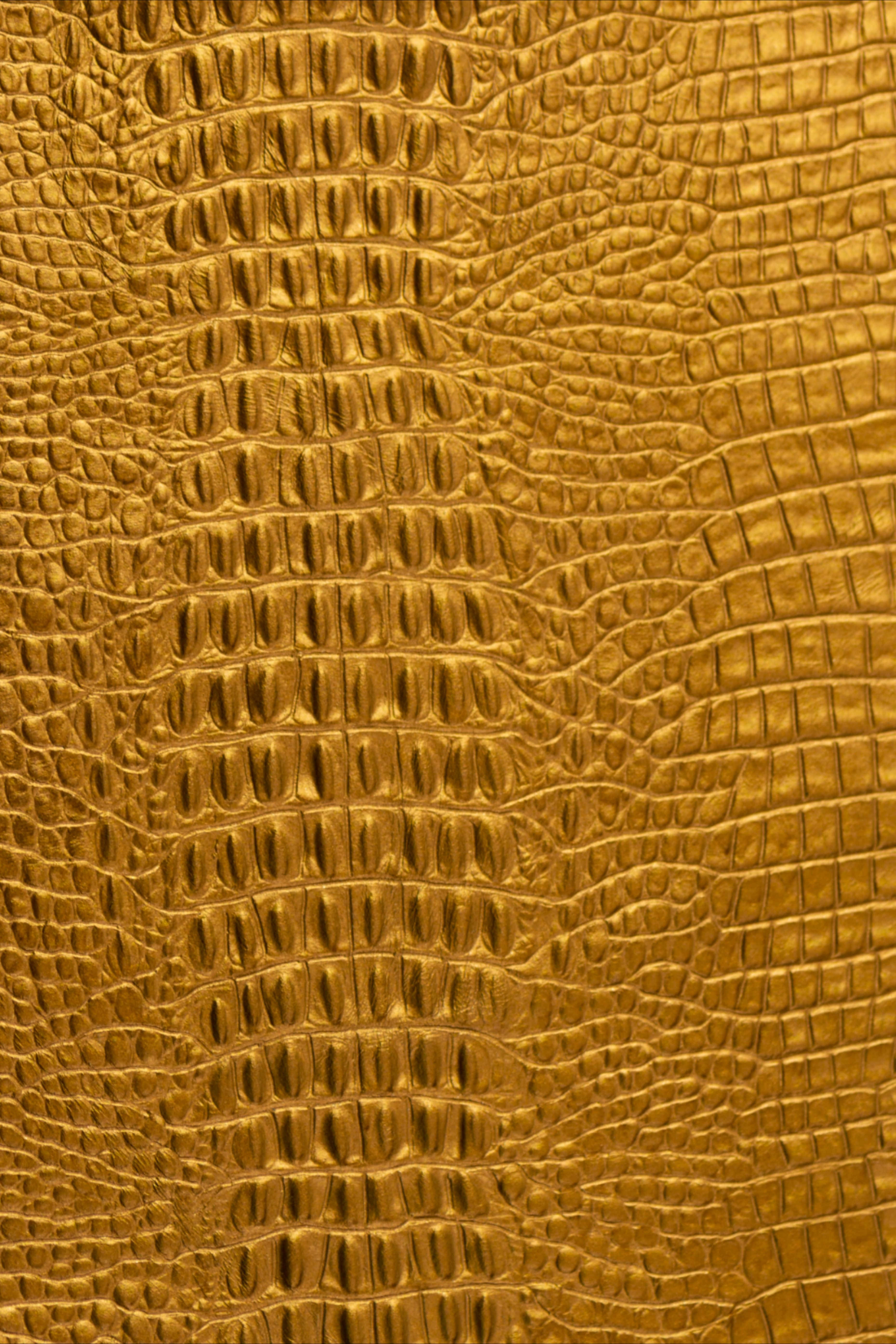 texture 桌布 壁紙 — 金色紋理鱷魚皮的近距離特寫，帶有細緻鱗片和自然脊紋。
