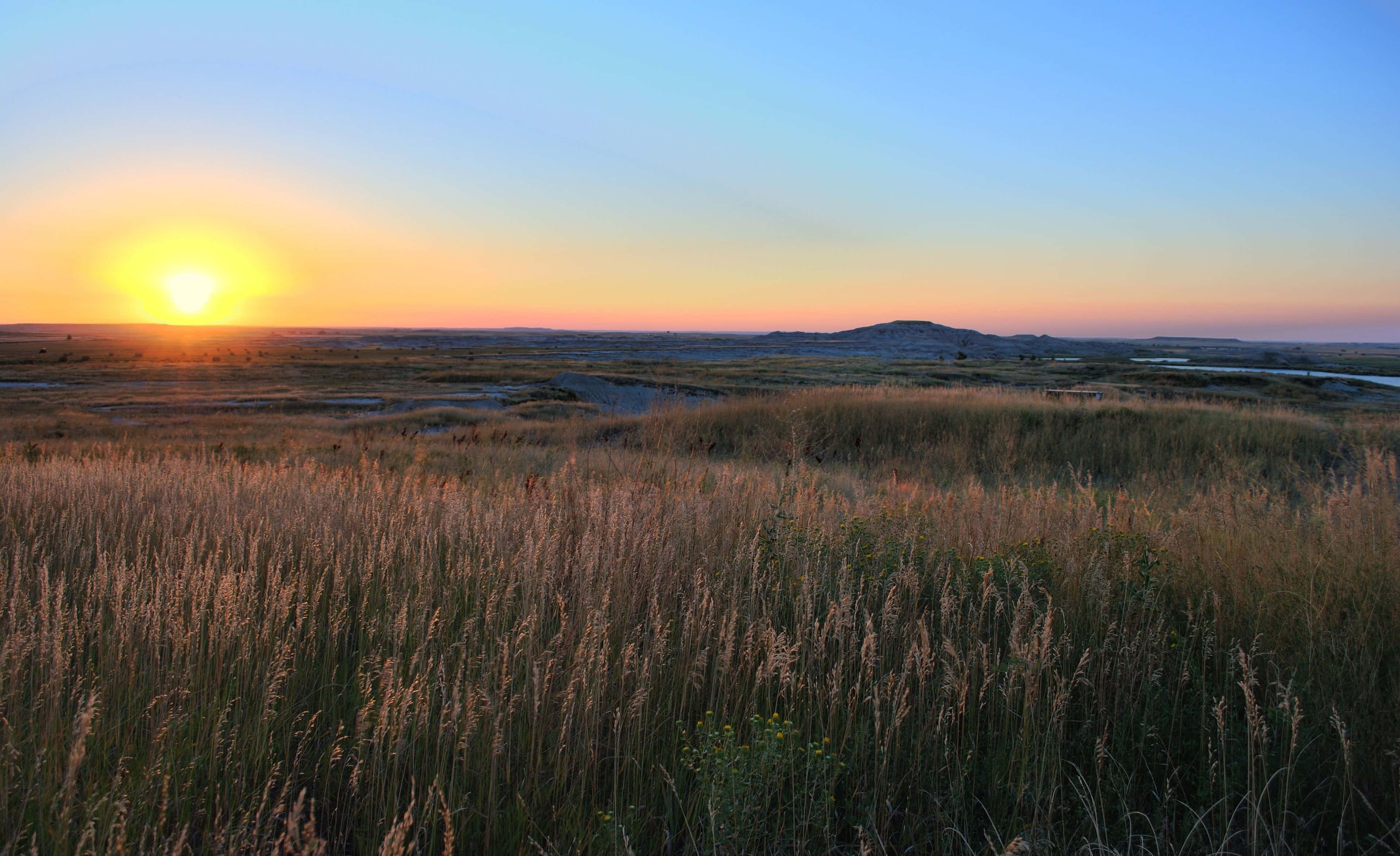 North Dakota 桌布 壁紙 — 金色草在前景搖曳，太陽在漸變天空下，於廣闊平坦的風景中，遠山之間落下。