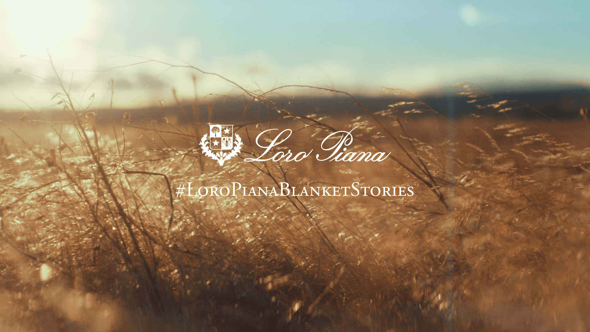 Photography Desktop 桌布 壁紙 — 金色草地在溫暖陽光中搖曳，帶有柔和散景和Loro Piana標誌覆蓋。