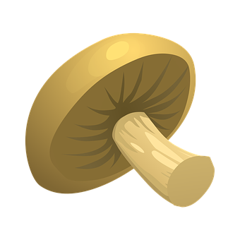 金色蘑菇向量插圖 壁紙