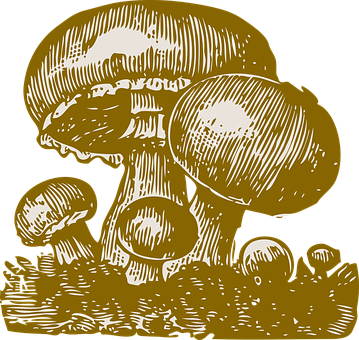 金色蘑菇插畫 壁紙