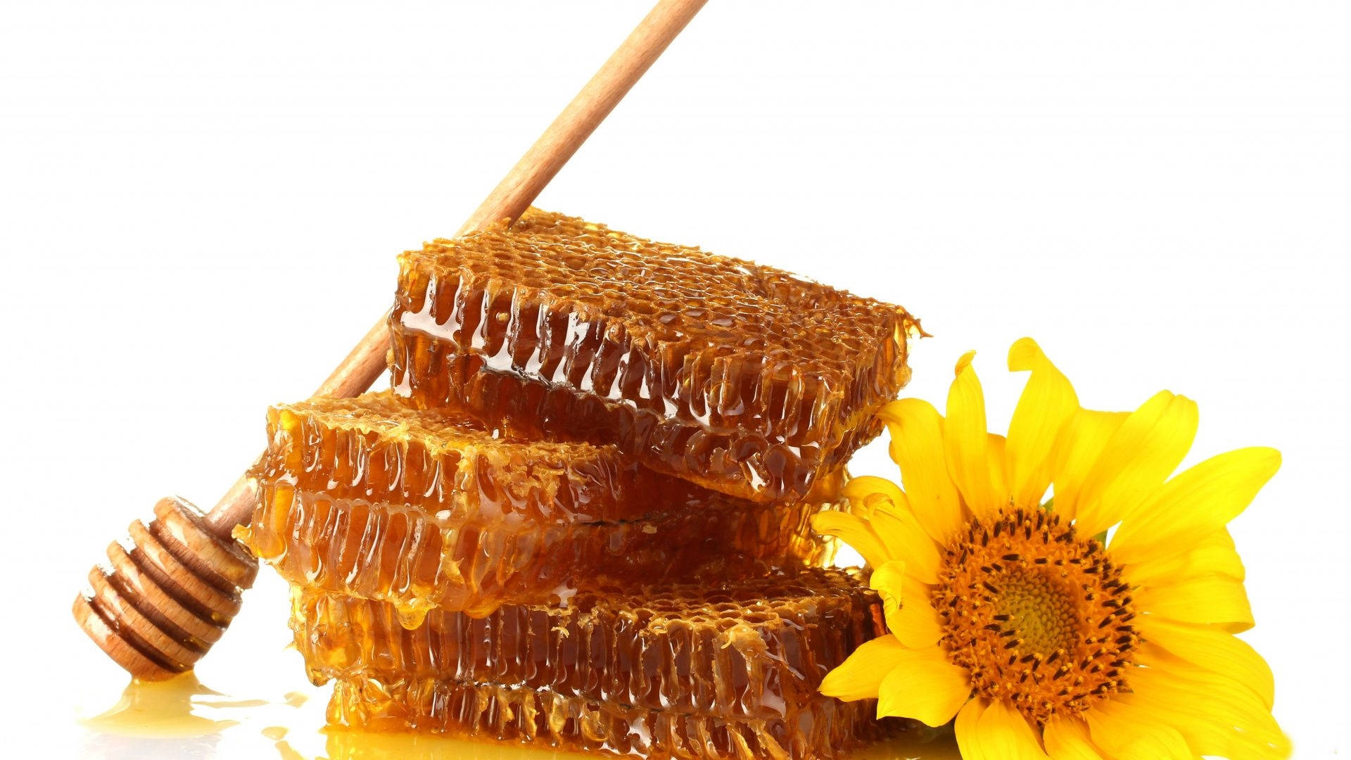 Honeycomb 桌布 壁紙 — 金色蜂巢滴下甜蜜花蜜，旁邊有鮮豔的向日葵和木勺，背景為白色。