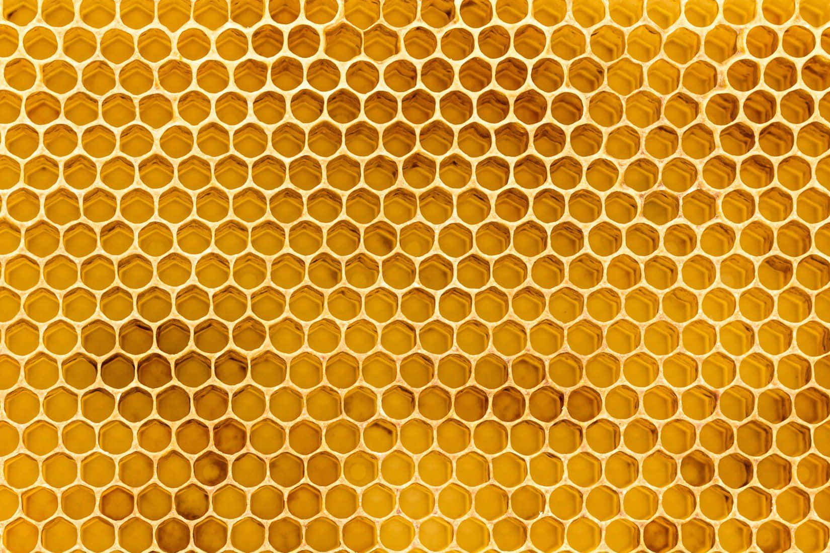 Honeycomb 桌布 壁紙 — 金色蜂巢的微距特寫，六角形蜂室裝滿琥珀色蜂蜜。