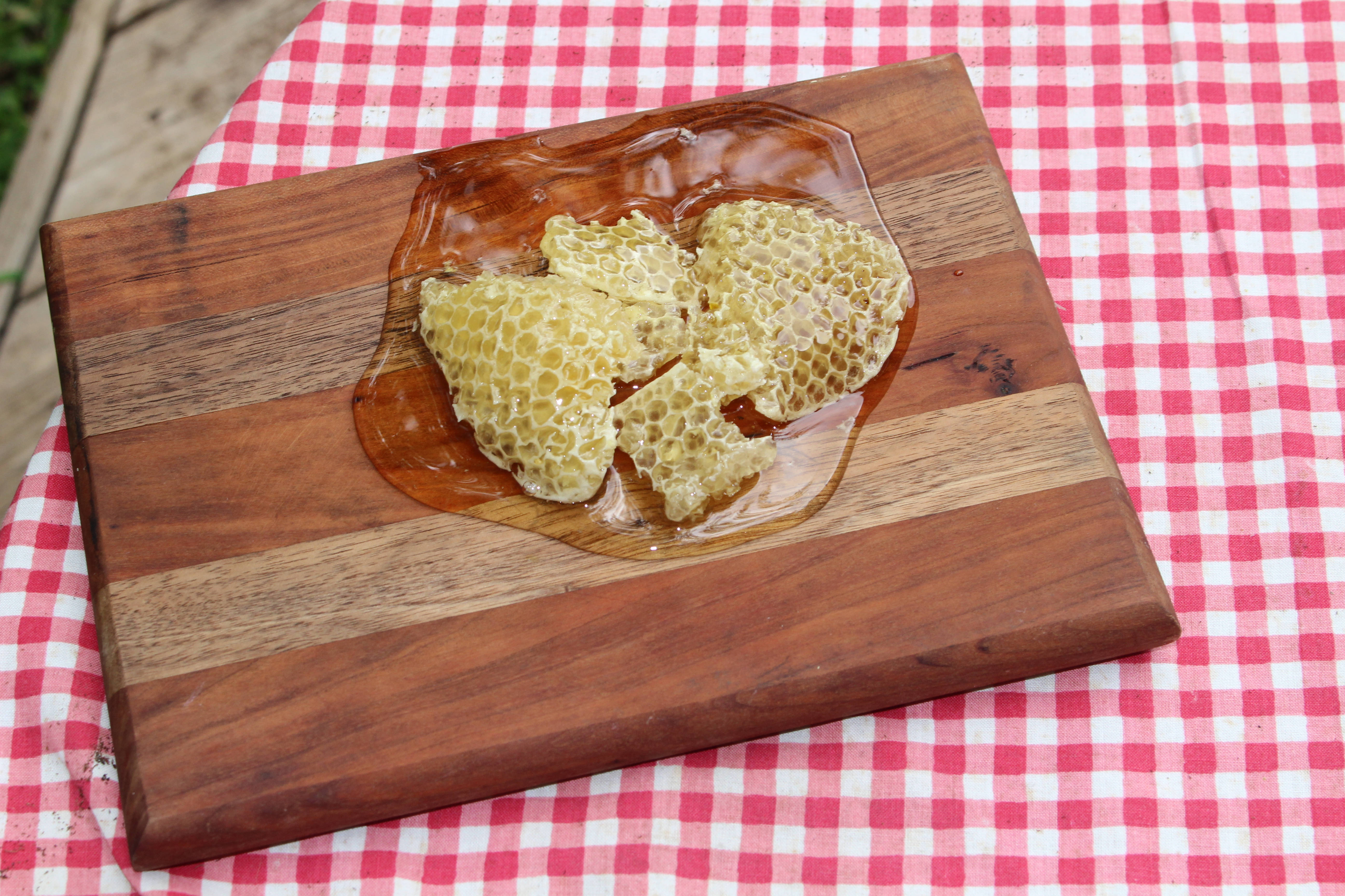 Honeycomb 桌布 壁紙 — 金色蜂巢碎片在紅白格子桌布上的木板上閃閃發光，滴著蜂蜜。
